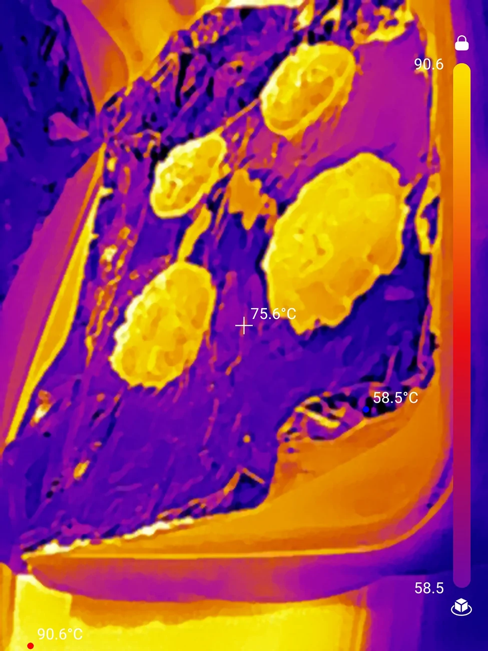 Rivian R1T R1S Baking Cookies in a Rivian 1783017934867_100
