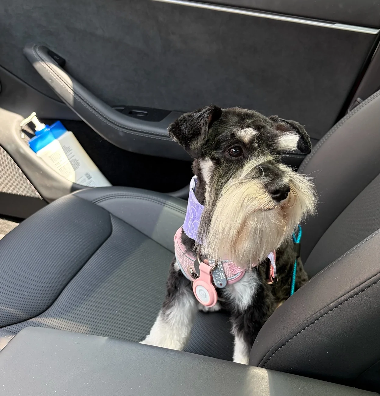 Rivian R1T R1S R2 cargo area air flow for dogs IMG_1517