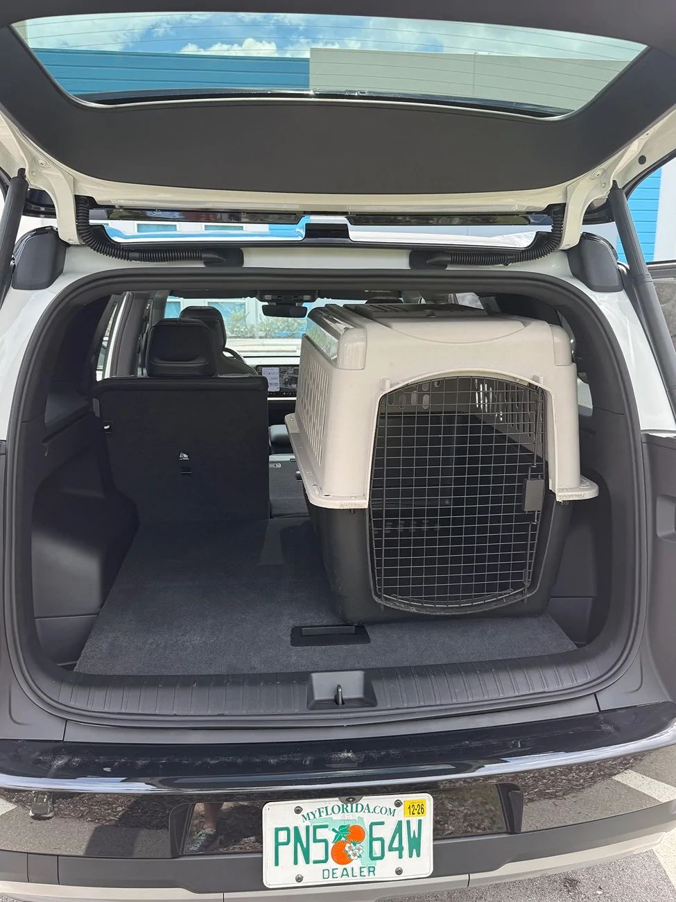 Rivian R1T R1S R2 Cargo / Trunk Cover For Dog Fur IMG_4698