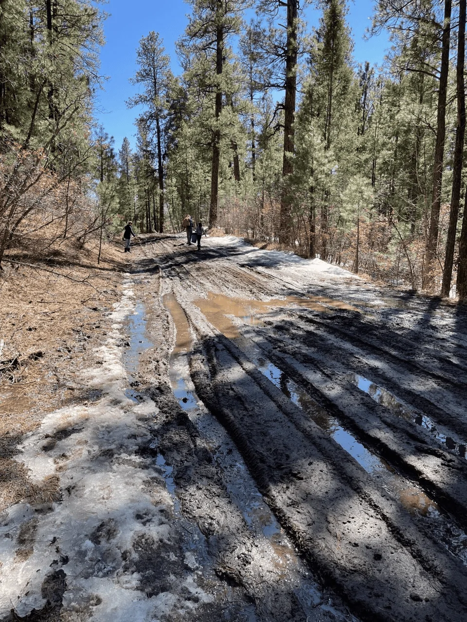 Rivian R1T R1S Ask us Rivian R1T owners ANYTHING [AMA]! untitled