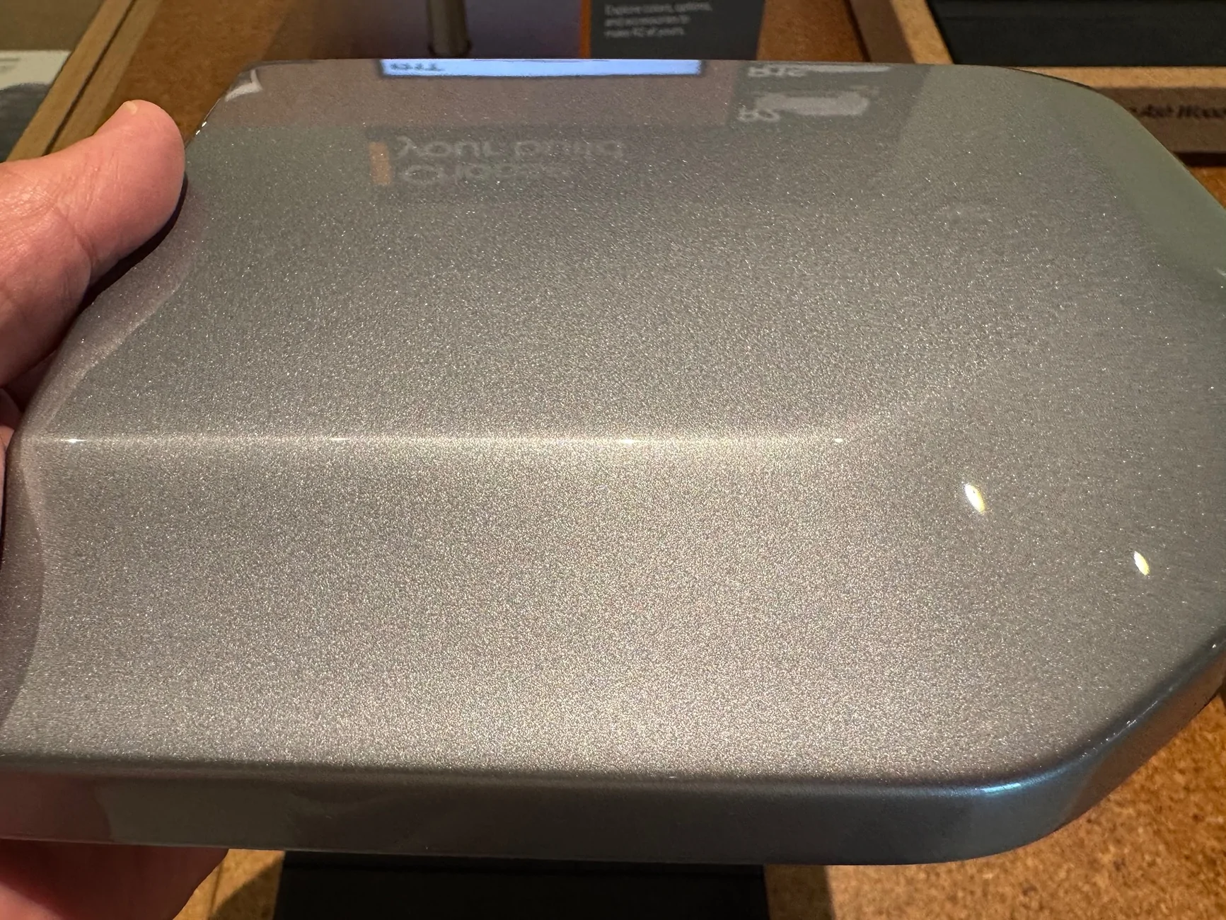 Rivian R1T R1S Esker Silver Paint Sample Closeup Photos IMG_5044