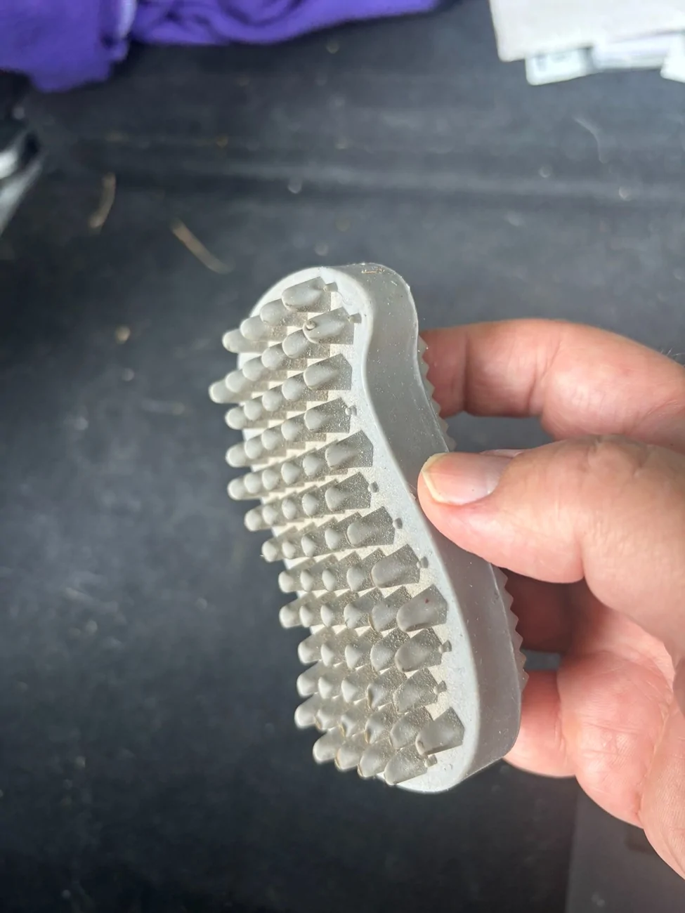 Rivian R1T R1S Dog Hair in the Back IMG_7062