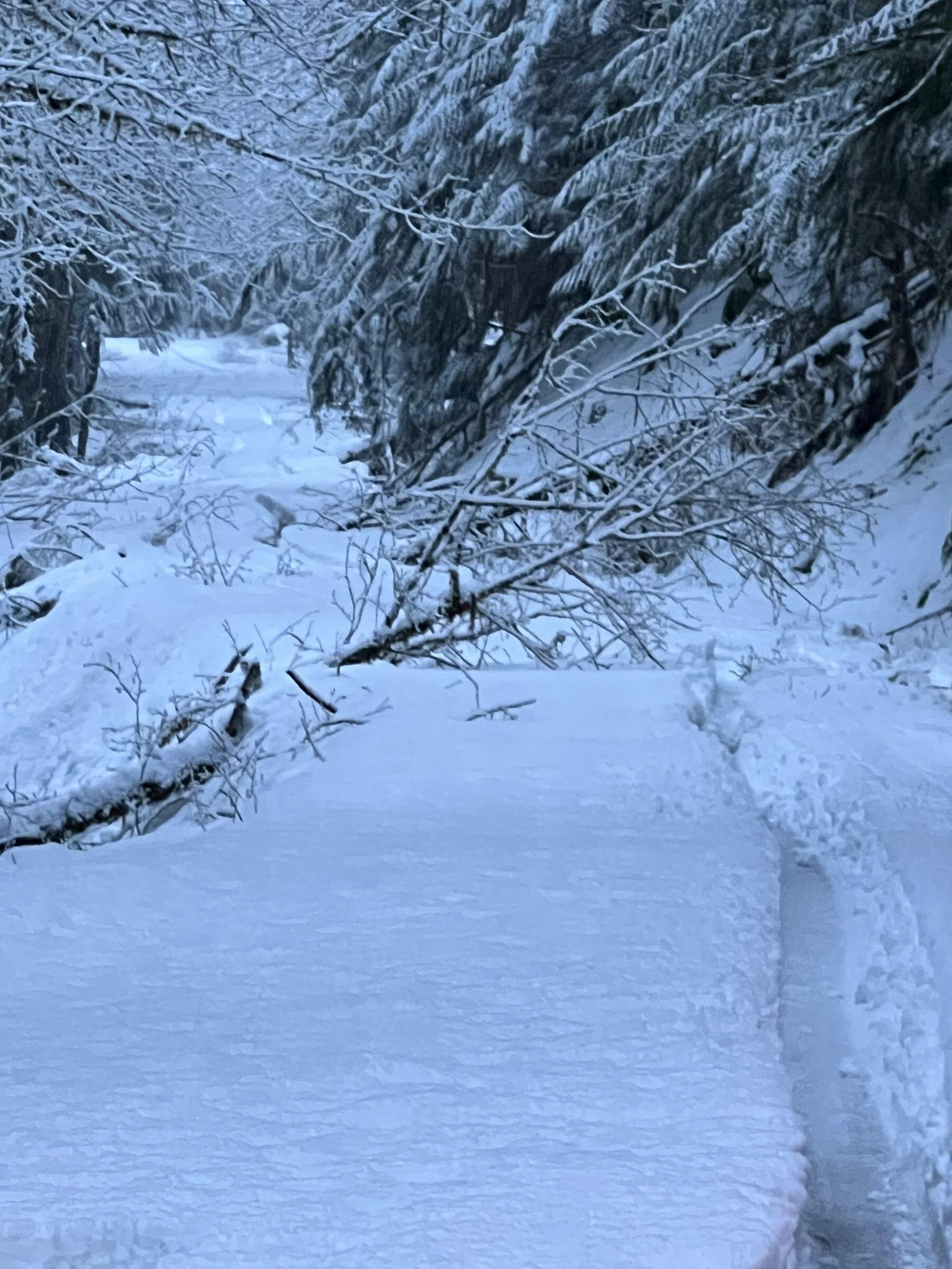 Rivian R1T R1S When April brings a snowstorm…. Go for a drive 5D1A35E3-60C6-428D-B9BA-0CA36496CB93