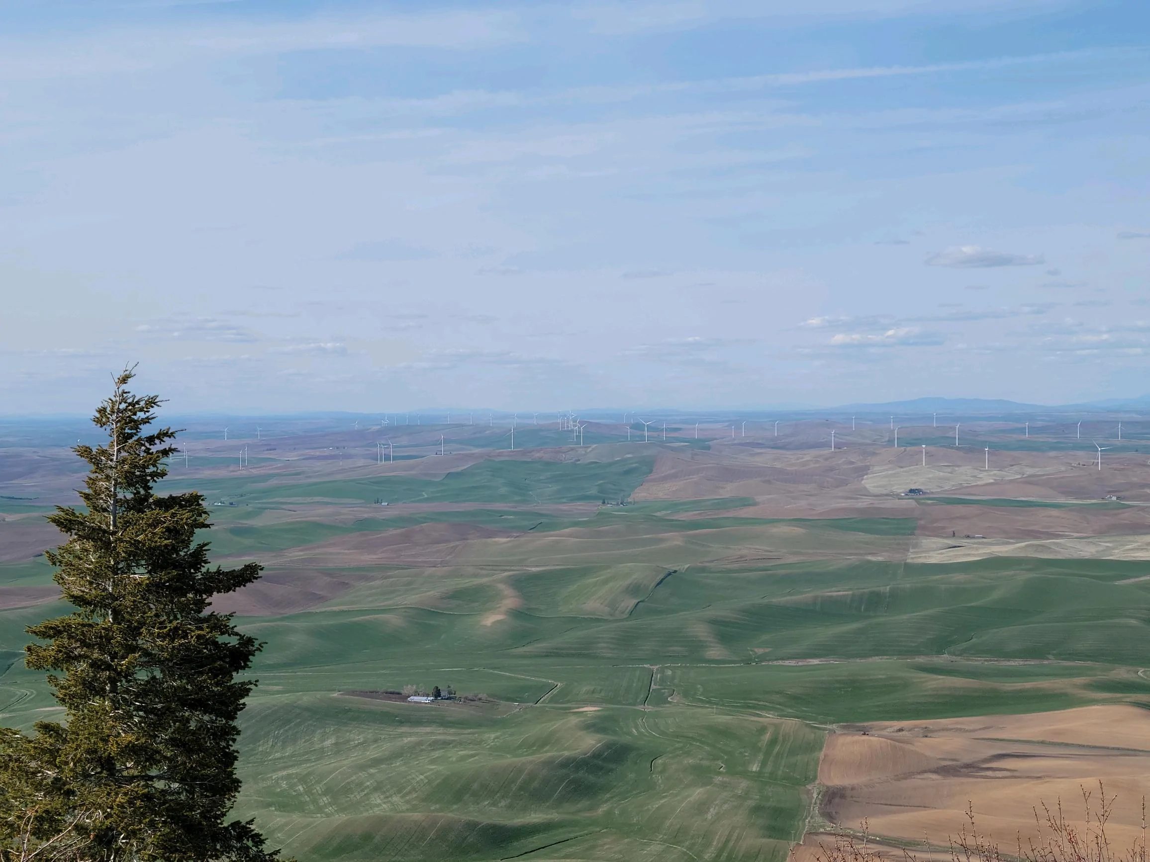 Rivian R1T R1S Palouse trip in R1T Image20220425220125