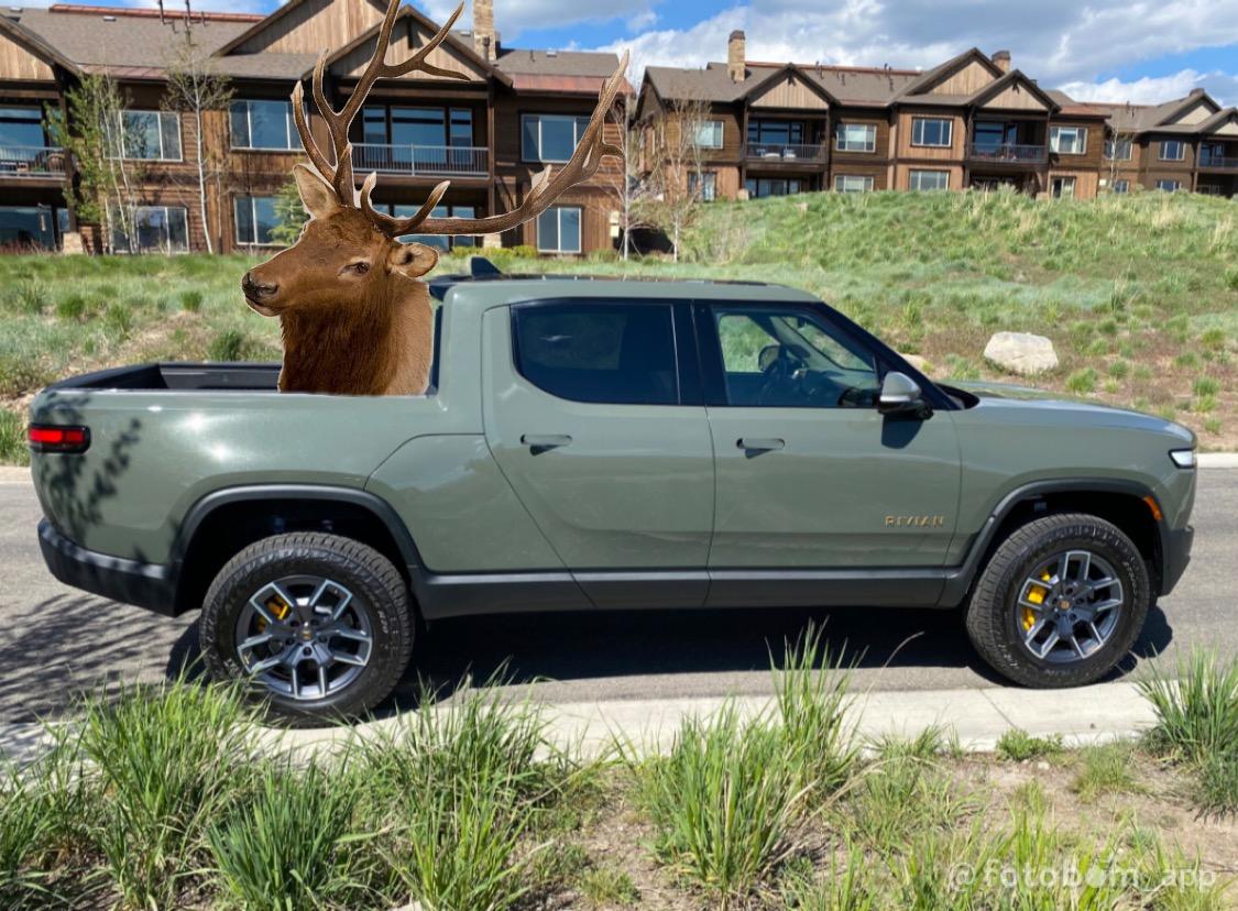 Rivian R1T R1S R1T LE LG FE group 0DA76E21-6E8D-40F1-92AB-FD5BE5143A53