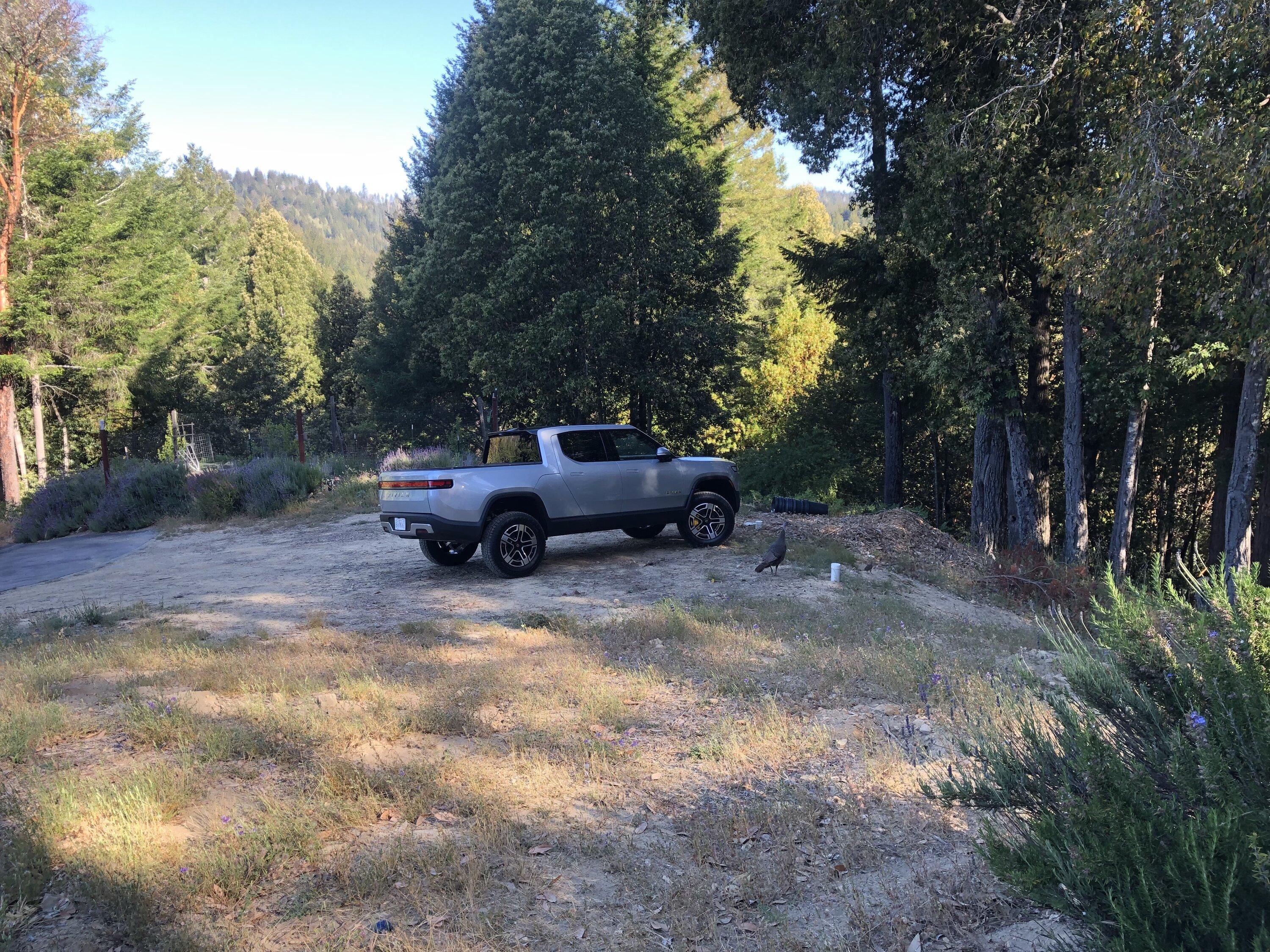 Rivian R1T R1S What’s your best “OMG is that a Rivian?!?” sighting moment? 2C5DA731-1BBC-480C-A47A-BE7FDA9CB5D9