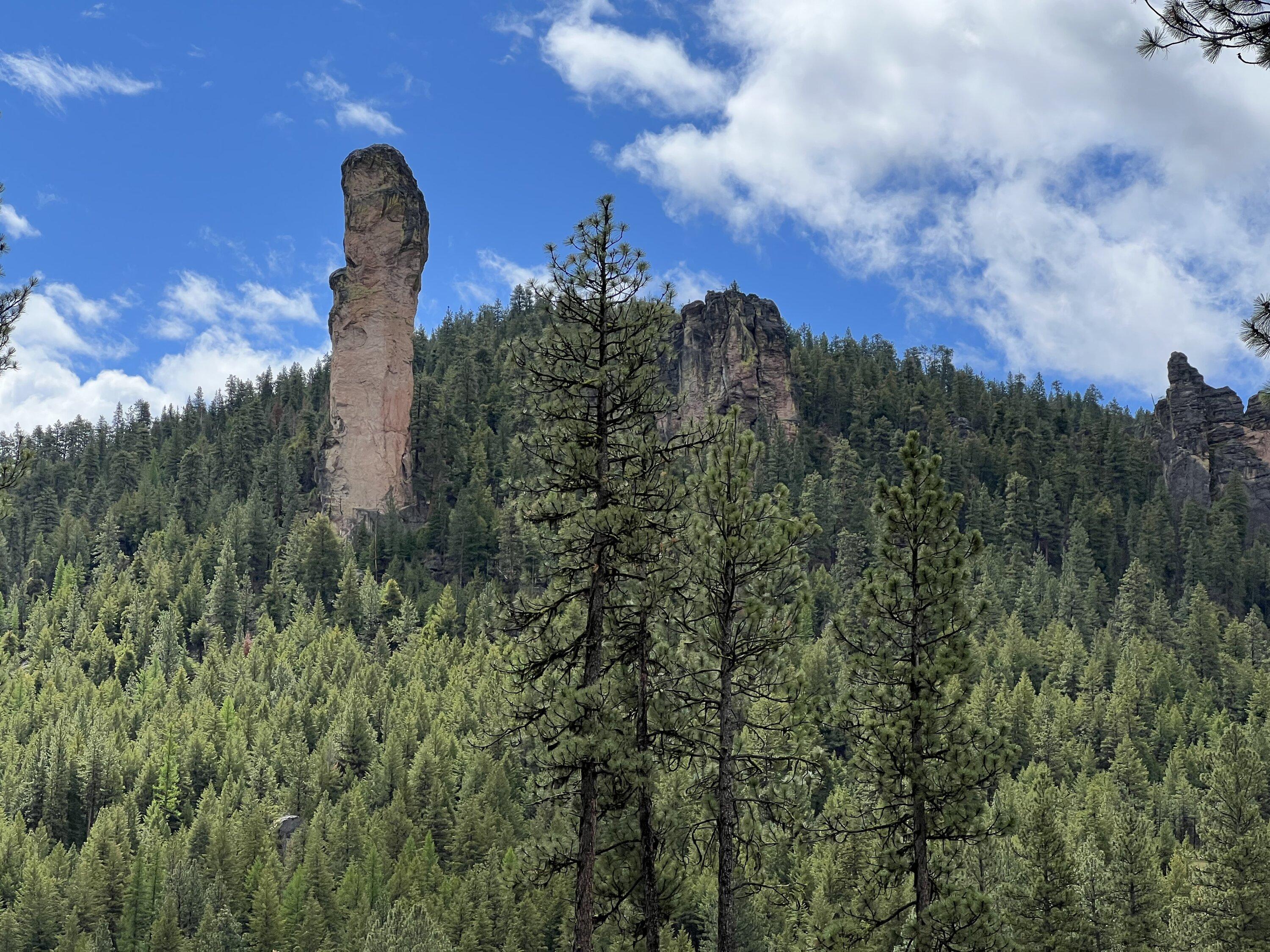 Rivian R1T R1S R1T camping/overlanding adventure!  Ochoco National Forest. 77932FA6-C9D7-46C4-AE8E-621482C629DE