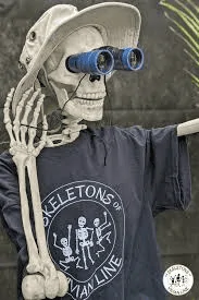 1654803147044.png