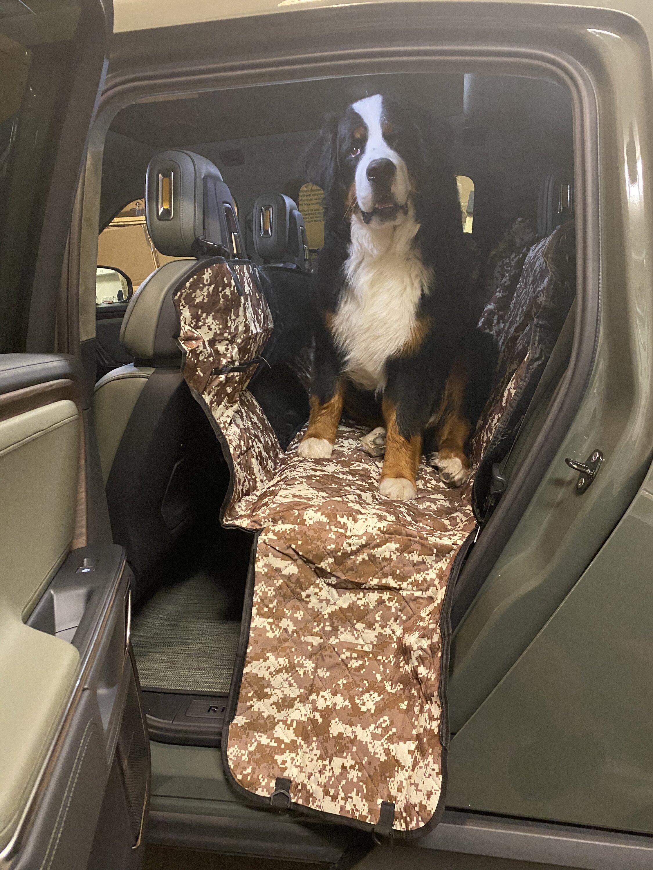 Rivian R1T R1S Dog Hammocks? 8D2B23D8-9050-46CD-913A-AA1F130454A2