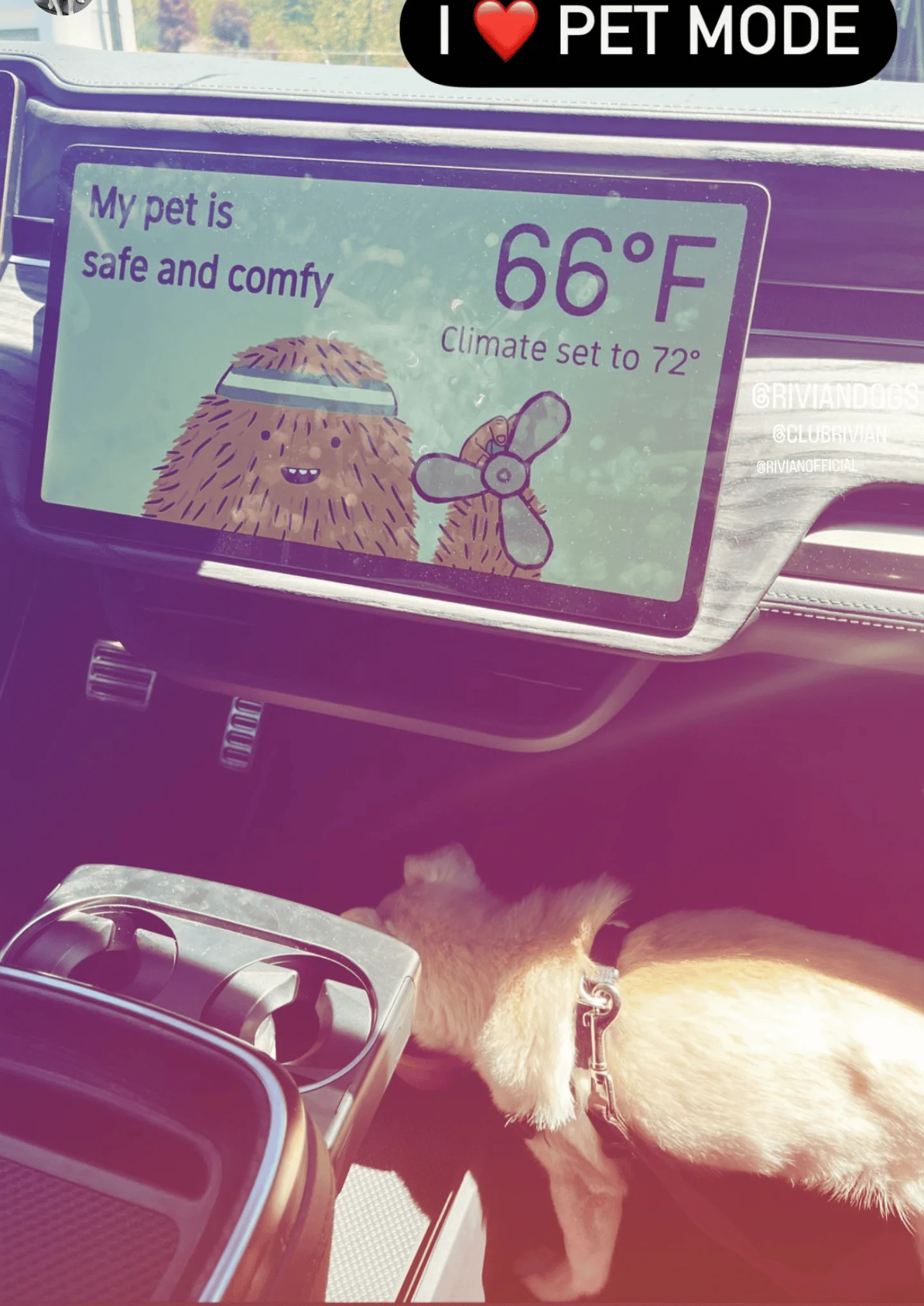 Rivian R1T R1S Pet Mode Confirmed (Photo)! Screenshot_20220626-204648