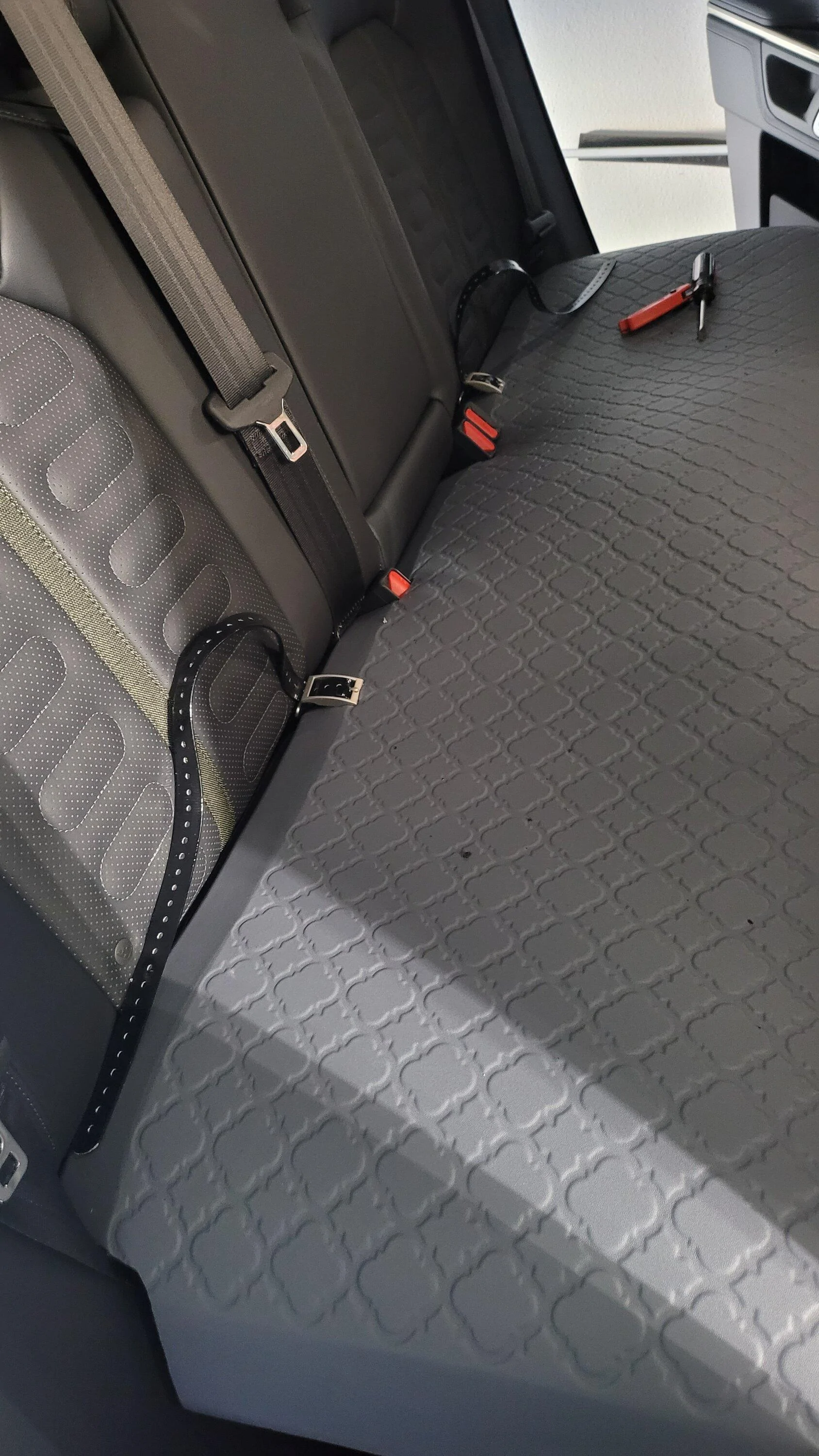 Rivian R1T R1S My dog setup 20220704_100336