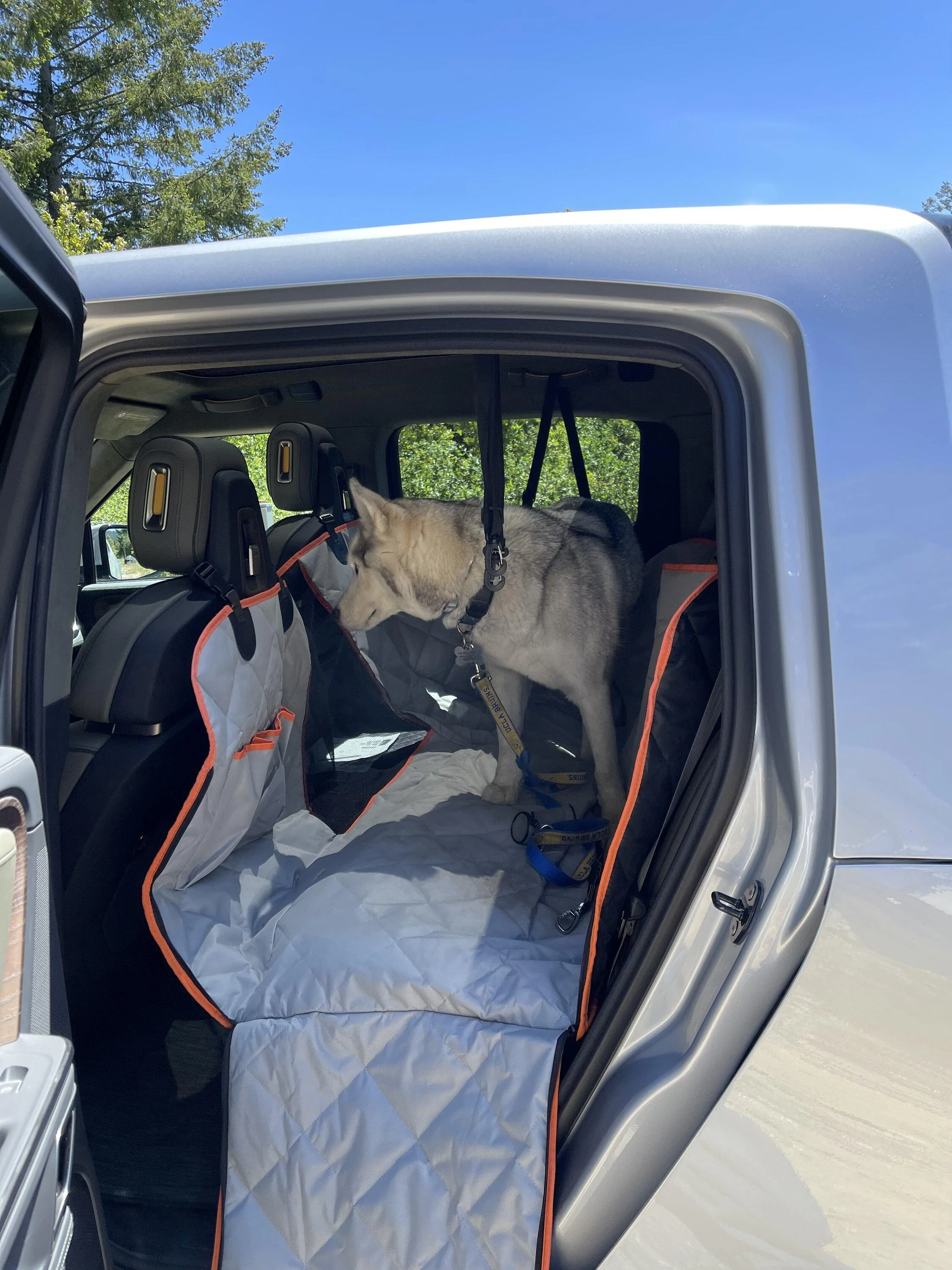 Rivian R1T R1S Any LA Silver / Forest Edge pics out there? 52FEF1D4-74C5-4D9E-AB63-353CADA811DF