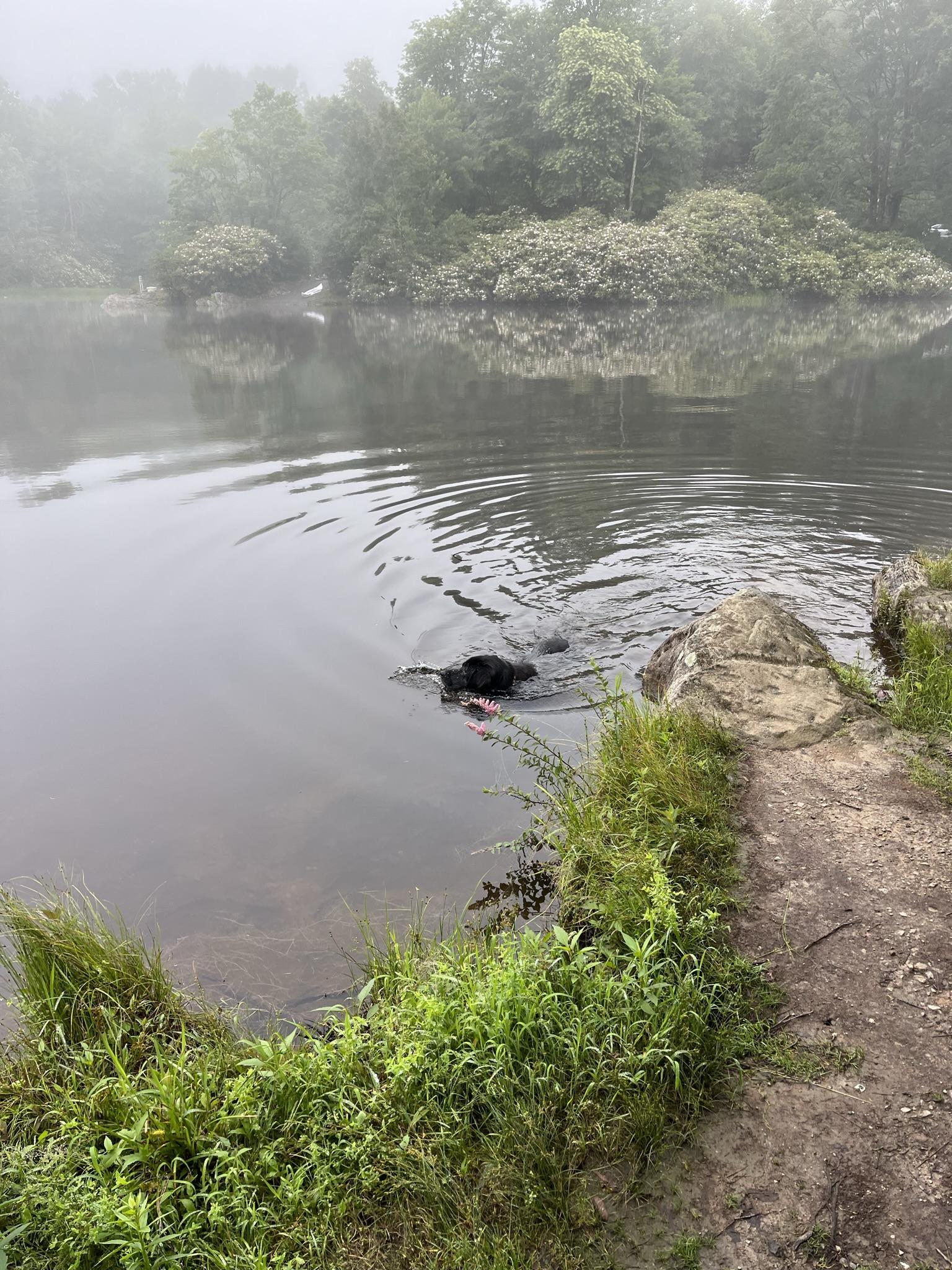 Rivian R1T R1S First R1T Camping Trip Report – Nice Two Night NC Mountains Getaway 8BF3B8AE-51D0-4F4A-89E3-0BFFD0090095