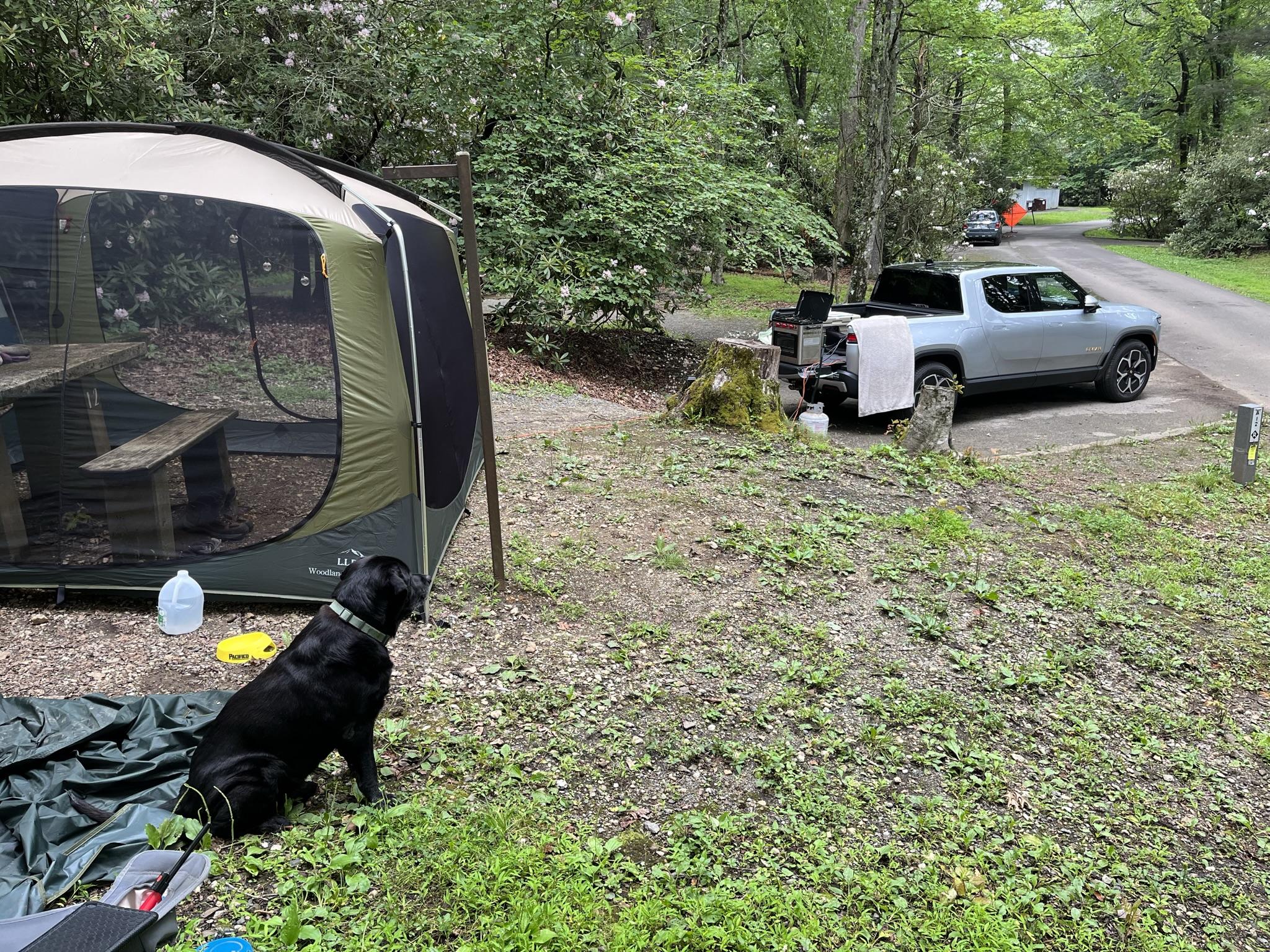 Rivian R1T R1S First R1T Camping Trip Report – Nice Two Night NC Mountains Getaway AF8F20C1-BF85-4AD0-A182-33163F3B6104