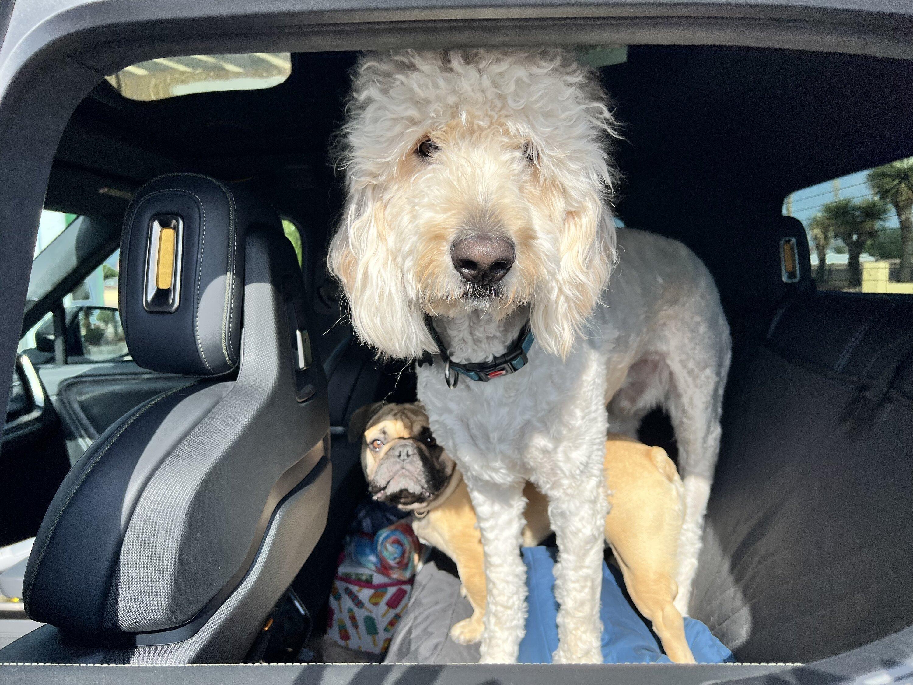 Rivian R1T R1S First EV road trip in my R1T… 2800 mile success! (photos added) 765F252A-0F26-4E1C-B562-031B98A6696B