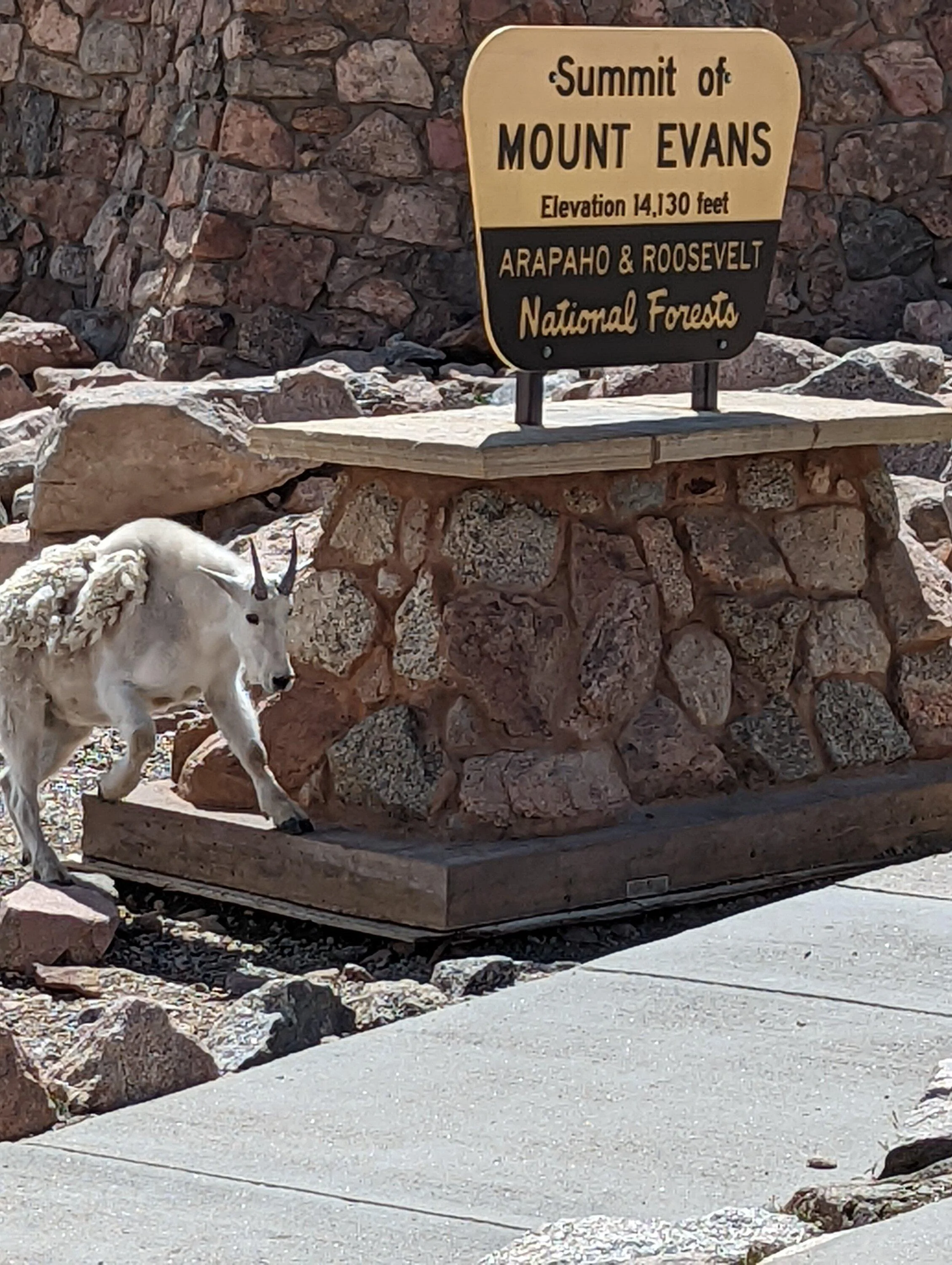 Rivian R1T R1S Peak Bagging - R1T's first 14er -- to Top of Mount Evans/Blue Sky PXL_20220813_170954620.MP