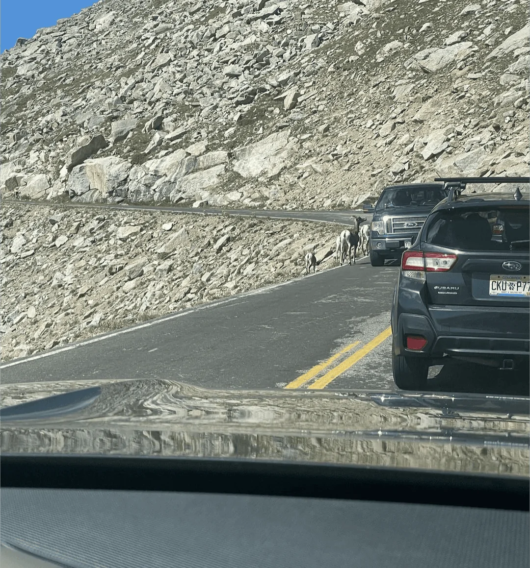 Rivian R1T R1S Peak Bagging - R1T's first 14er -- to Top of Mount Evans/Blue Sky Screenshot_20220813-151532