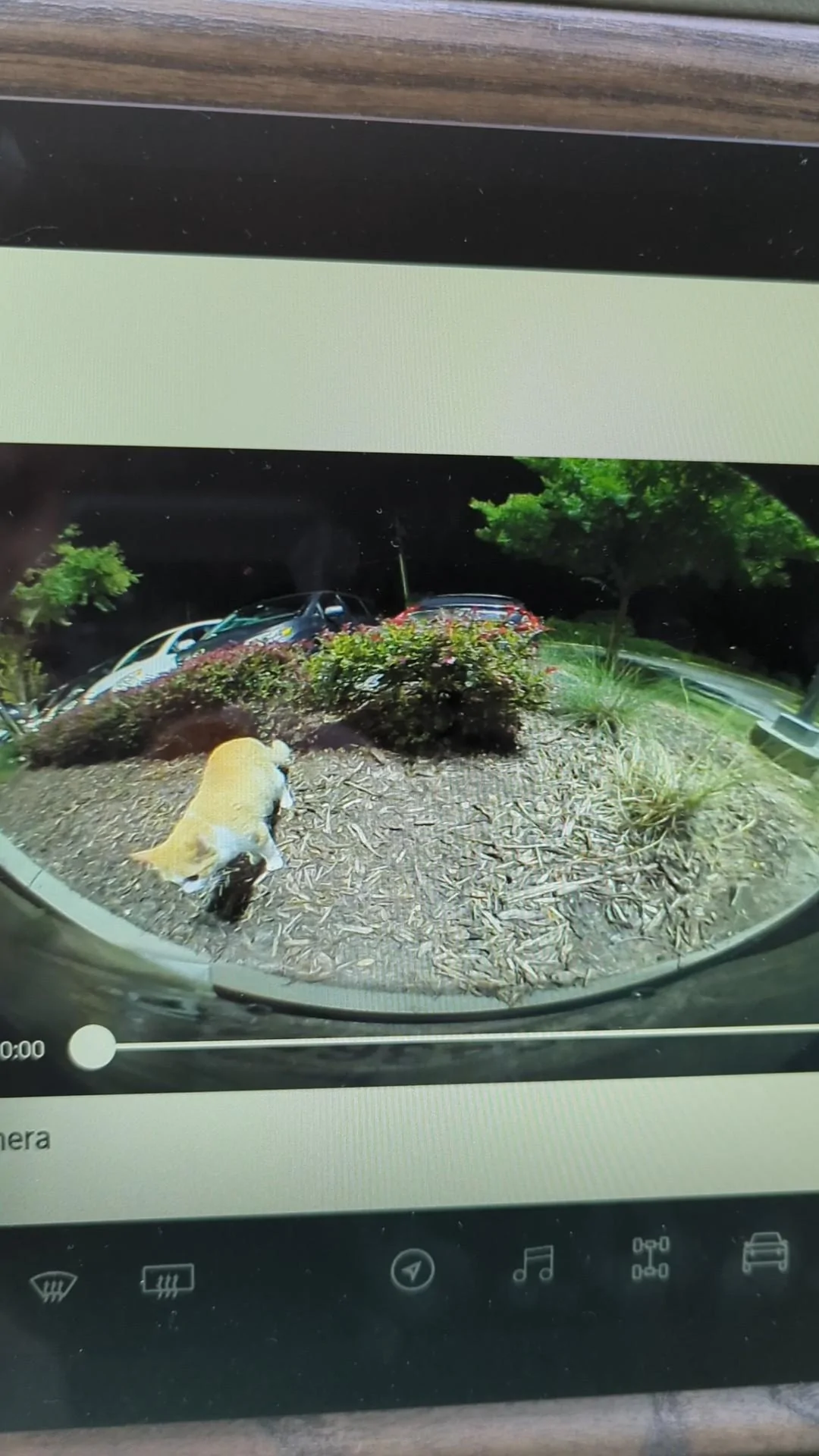 Rivian R1T R1S R1T Vandalism (Window Break In) But Gear Guard Didn't Record PXL_20220831_120351532_exported_0