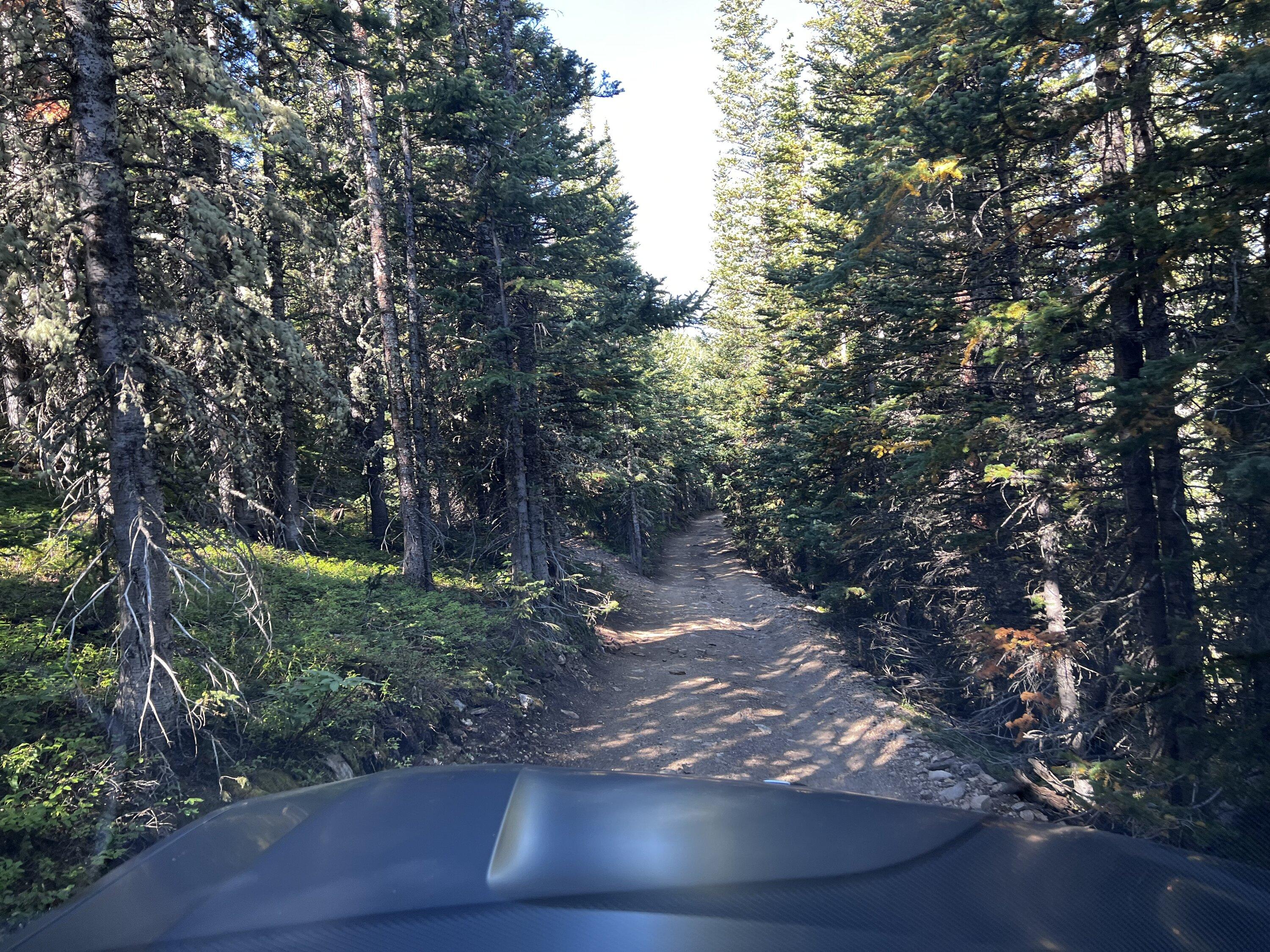 Rivian R1T R1S R1T off-road in CO IMG_3302