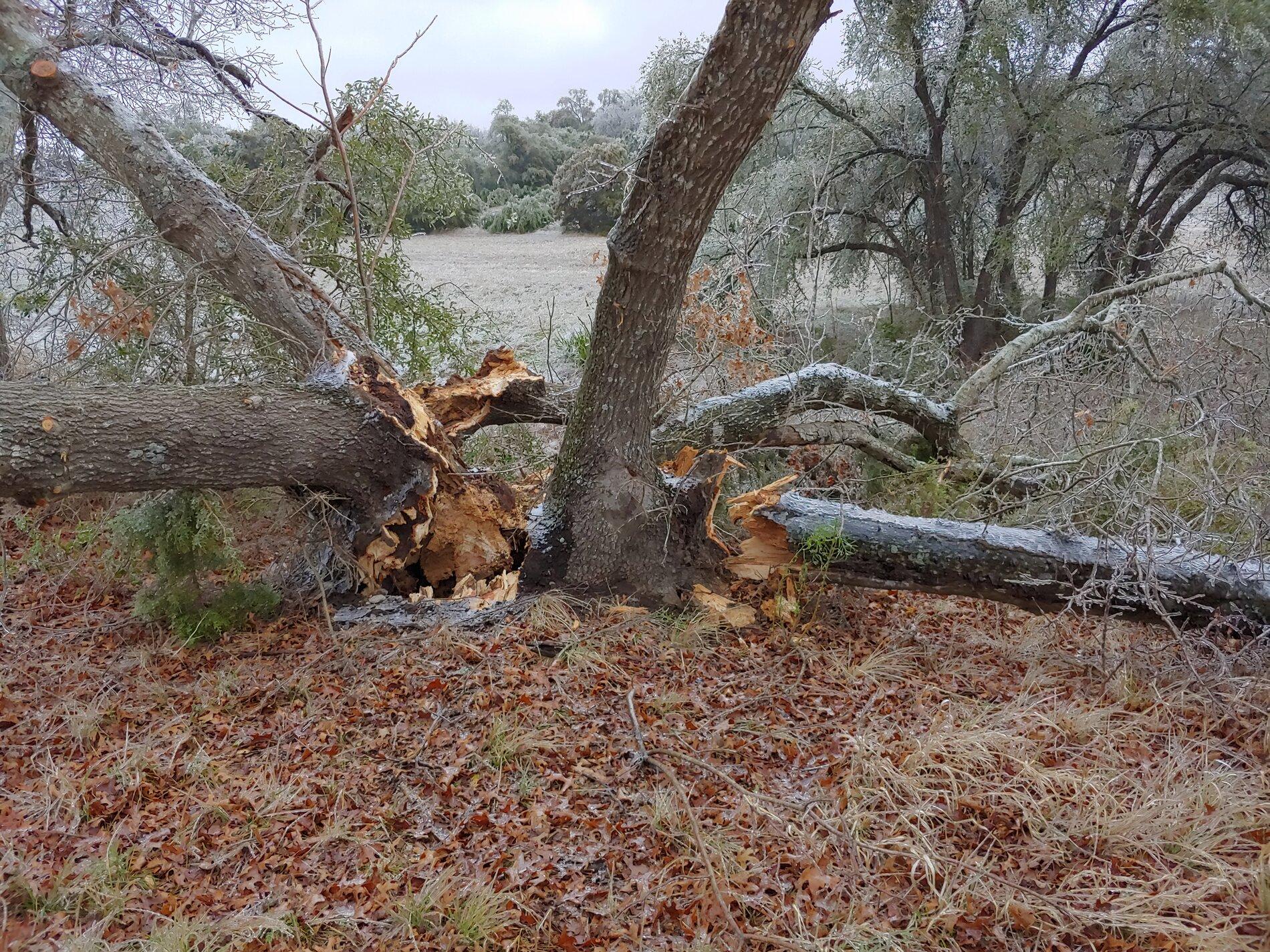 20210212_153704_HDR.jpg
