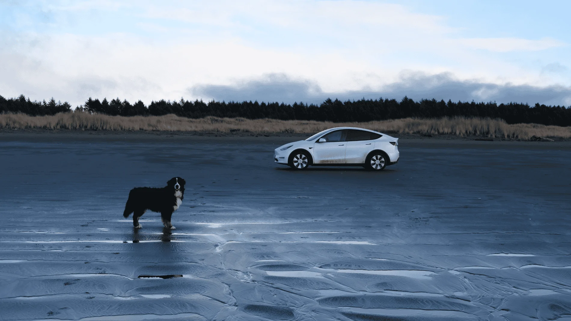 Rivian R1T R1S What are you currently driving? (Glamour Shots) 1614292086022