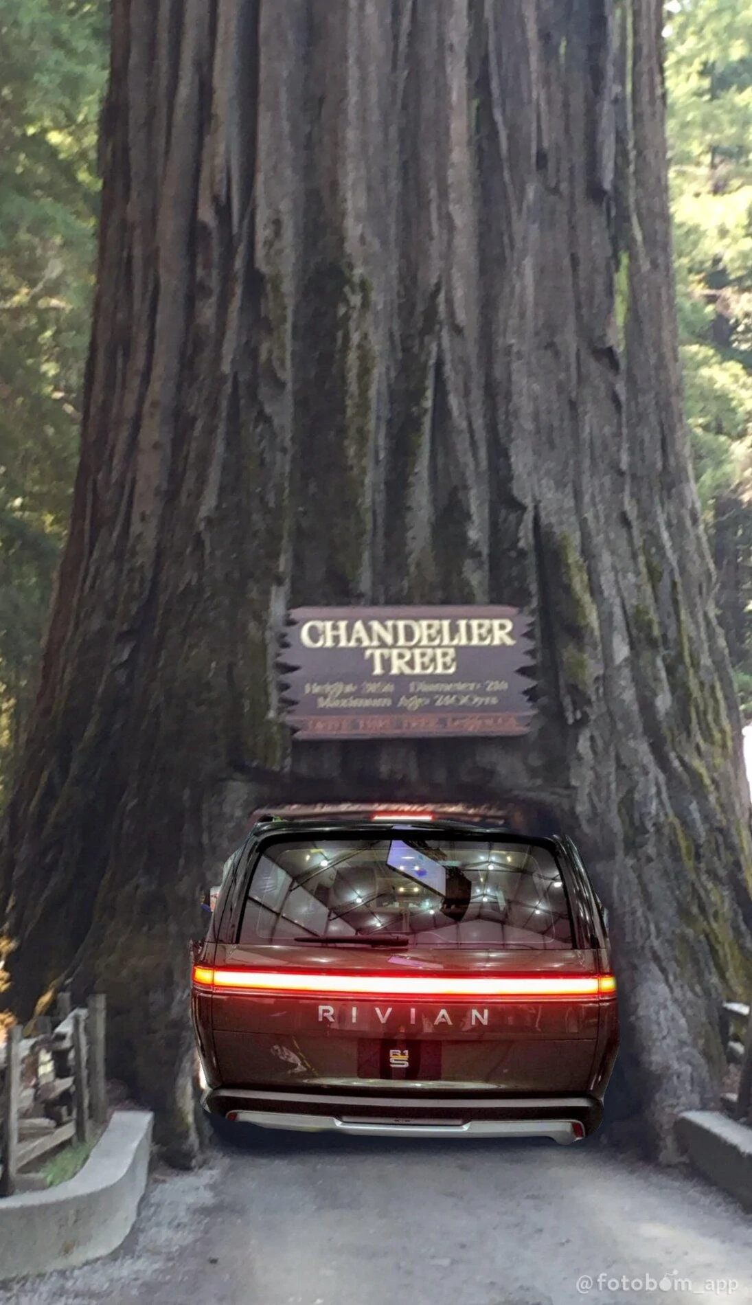 Rivian R1T R1S Does the Forest Edge interior match ANY exterior paint color besides Launch Green? IMG_3555