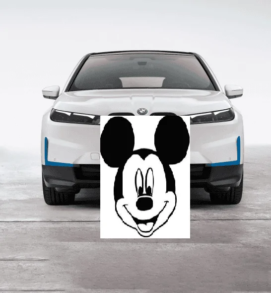 Rivian R1T R1S BMW IX Drive 50 mouse ears