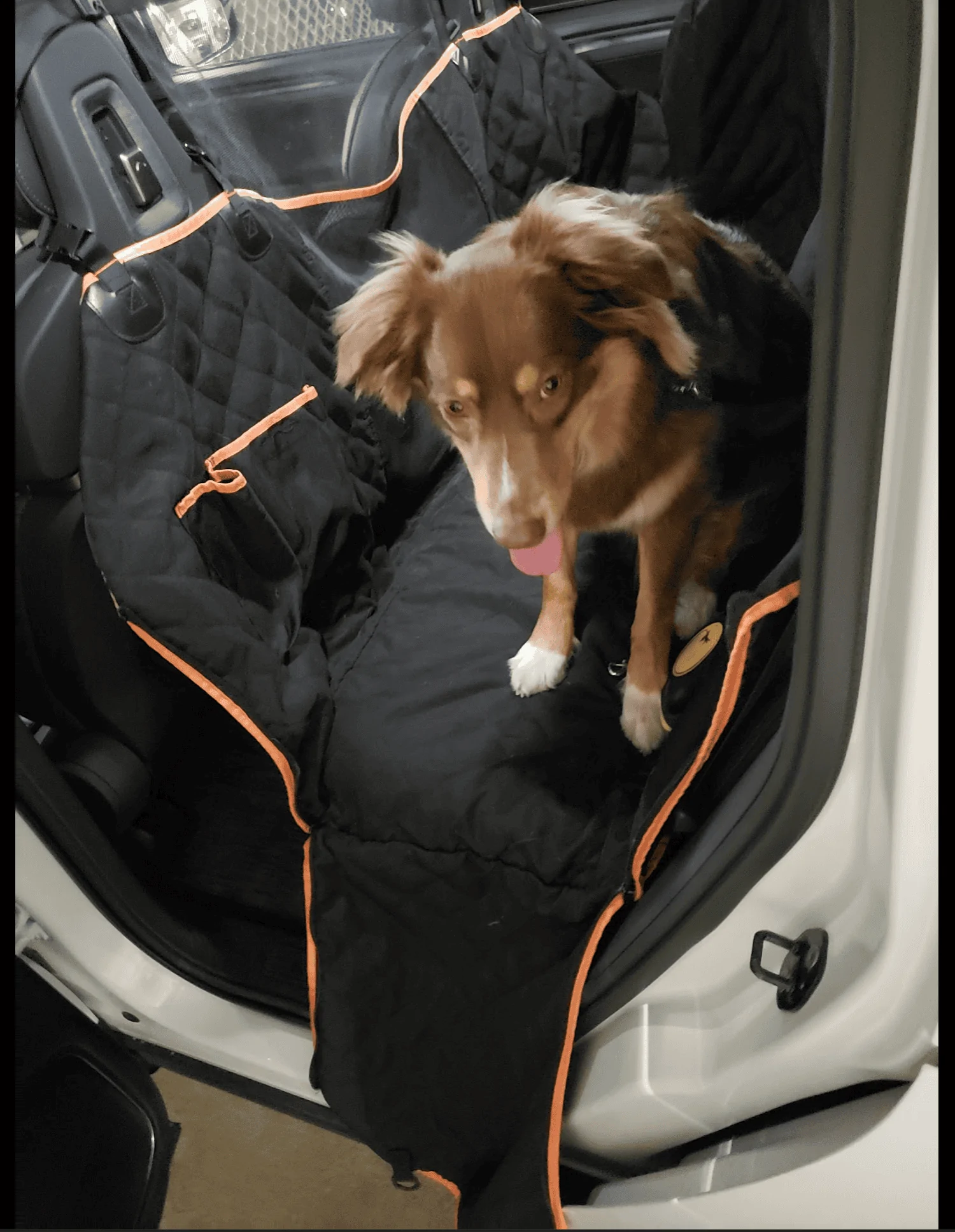 Rivian R1T R1S Attention all R1S Dog Owners 1664046346657