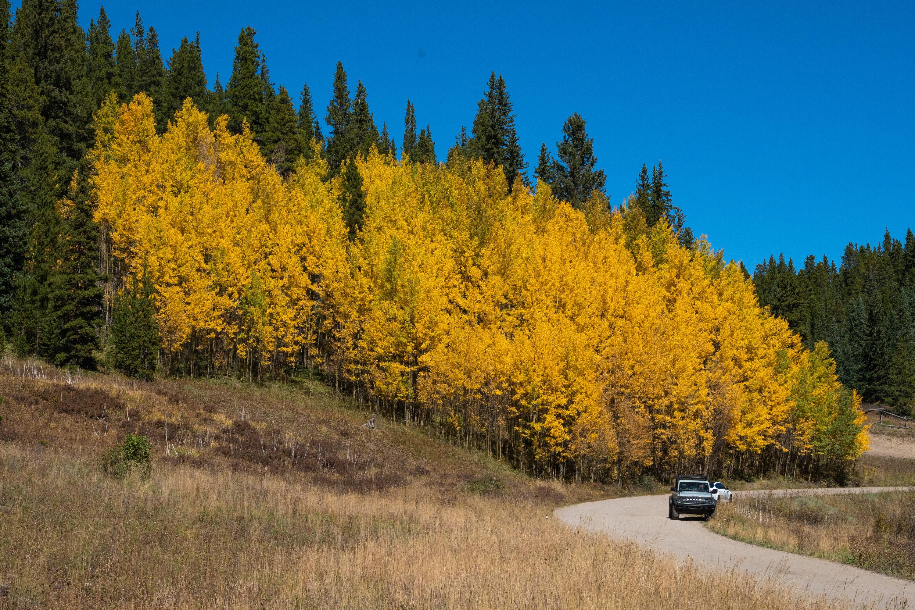 Rivian R1T R1S Colorado Checking In 9385A3D9-3B9D-451B-B6D5-3ADAA9832B1D