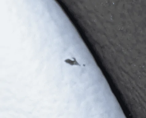 Rivian R1T R1S Picked up new R1T Ocean Coast today -  some small Issues 1665262615129