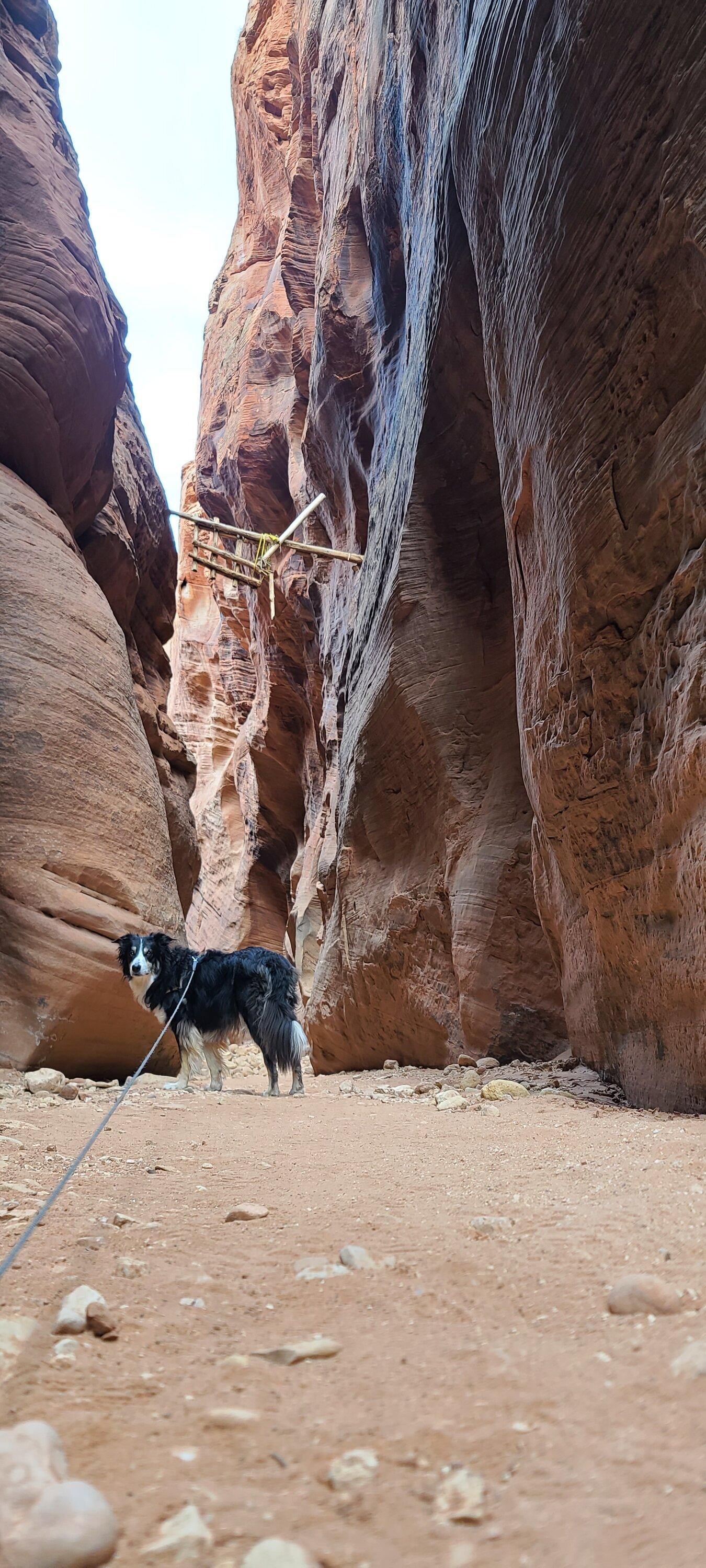 Rivian R1T R1S 1500 mile RT to Kanab UT 20221016_144628