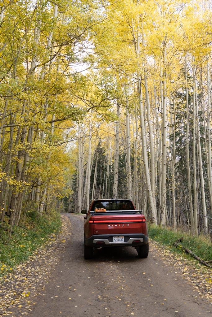 Rivian R1T R1S A Tale of Two Trucks: Off-Road Trip to Test R1T Capabilities [Suspension / Damper Damage] _MG_0570-3