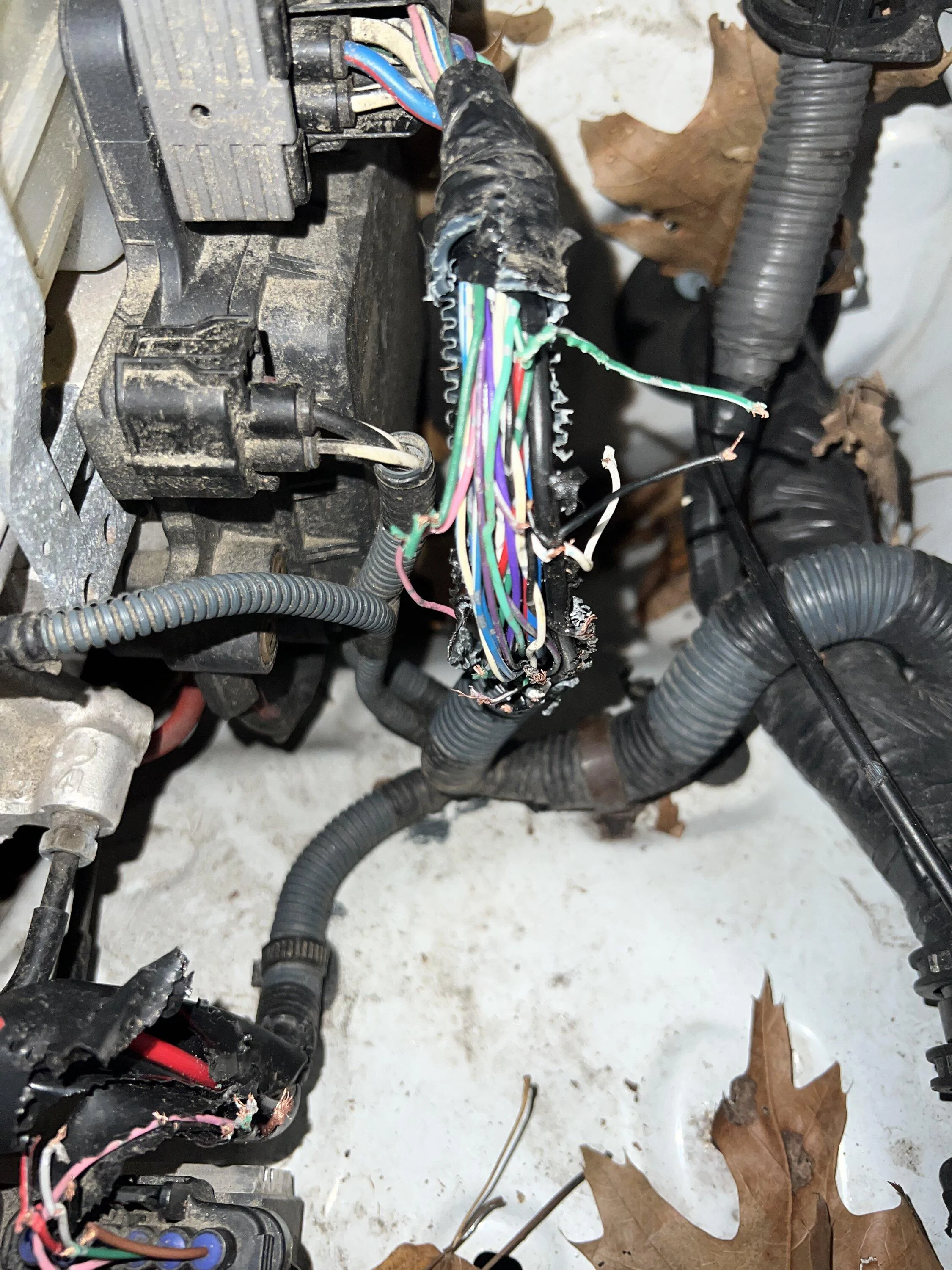 Rivian R1T R1S Rodent chewed through wire harness, causing $7K repair (and $1650 towing) 37149D6A-4176-4DEE-B2F3-A0B50B1FDAF3