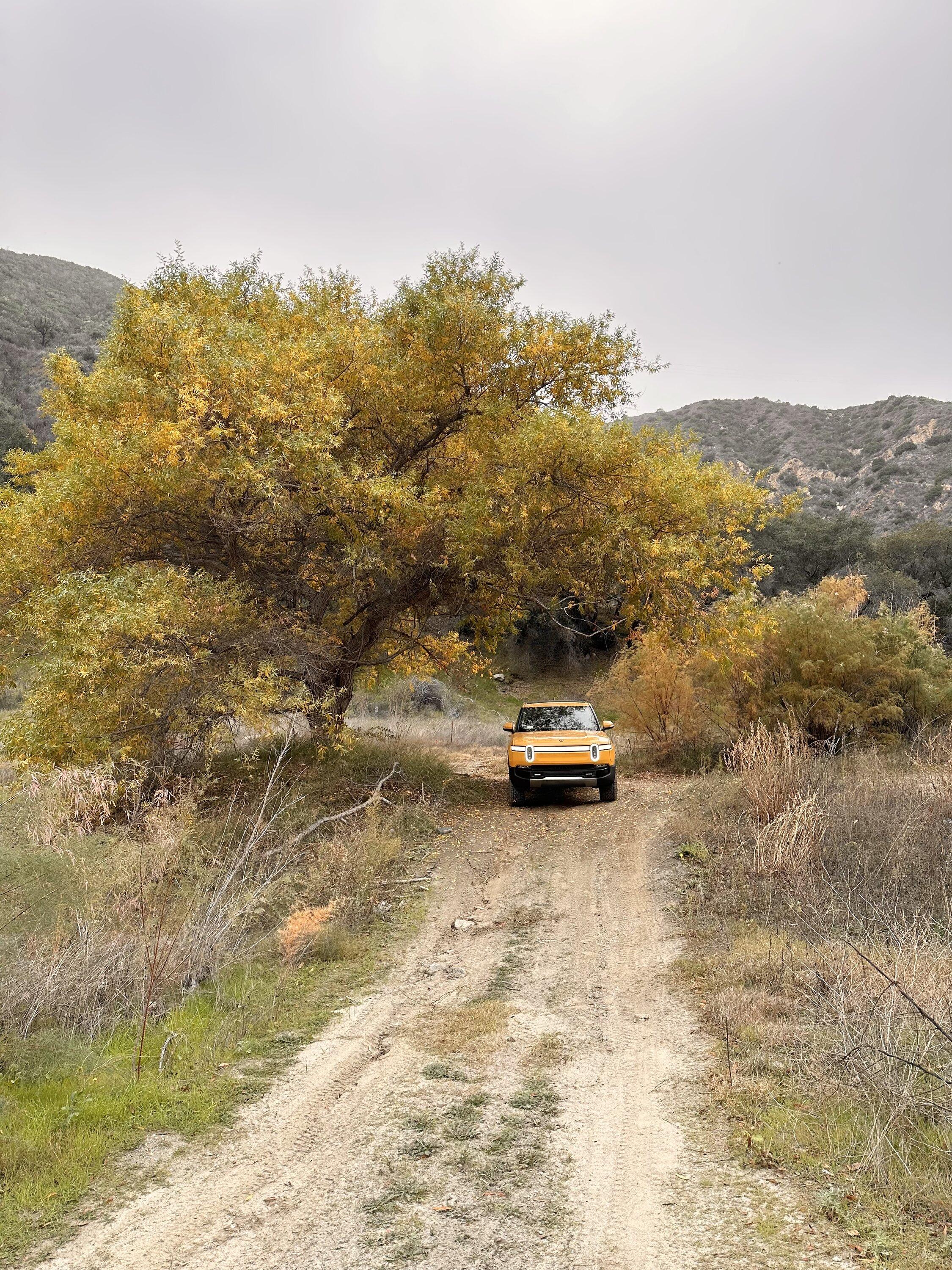 Rivian R1T R1S COMPASS YELLOW R1T Photos A1EF1FF5-669E-4036-9AFF-63E398A974A9