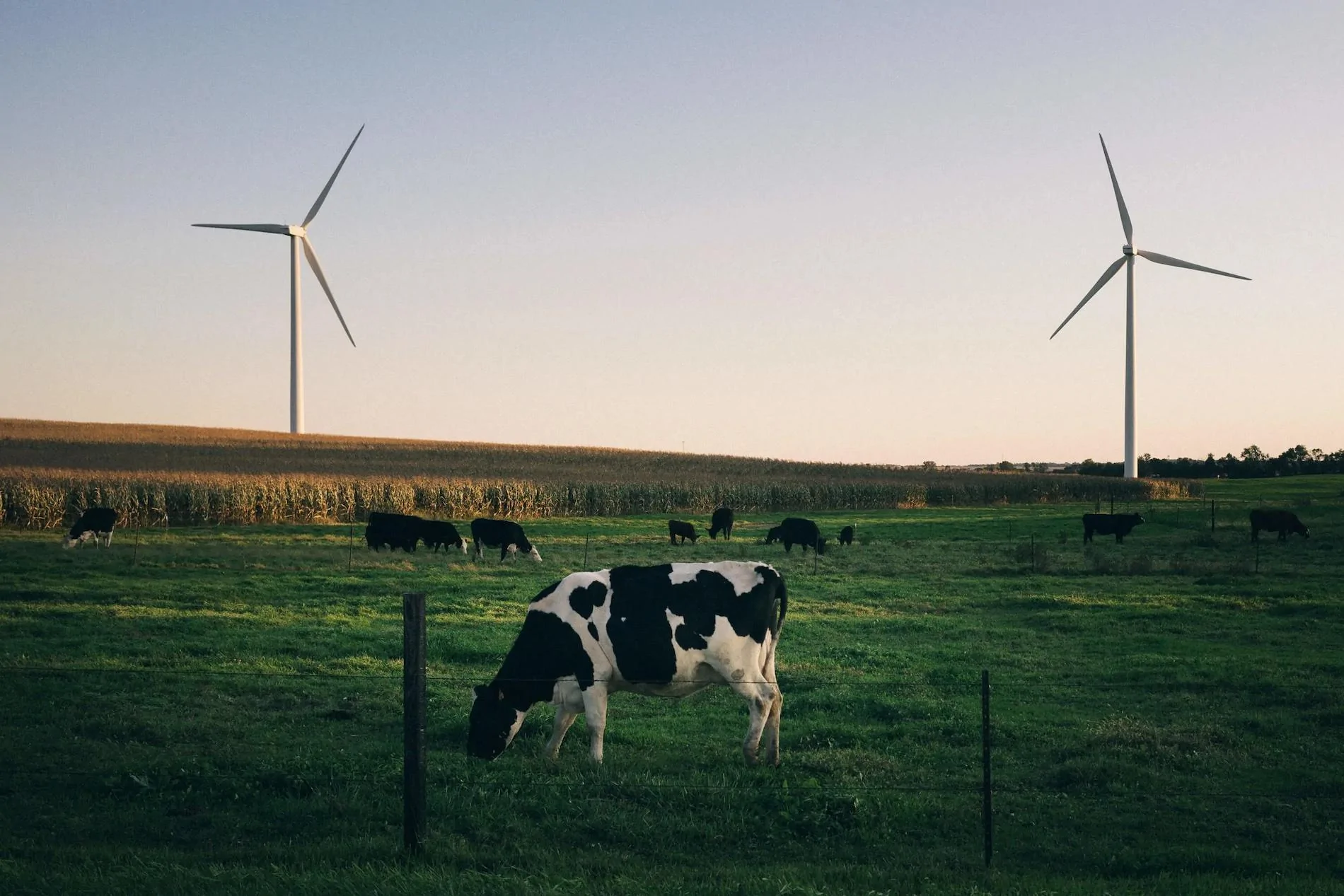 Rivian R1T R1S Rivian Inks Wind Energy Deal with Apex Clean Energy to Power the Normal, Illinois Plant rivian-inks-wind-energy-deal-with-apex-clean-energy__1_ copy