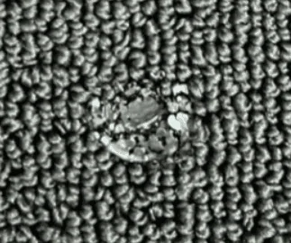Rivian R1T R1S Picked up new R1T Ocean Coast today -  some small Issues 1670368142345
