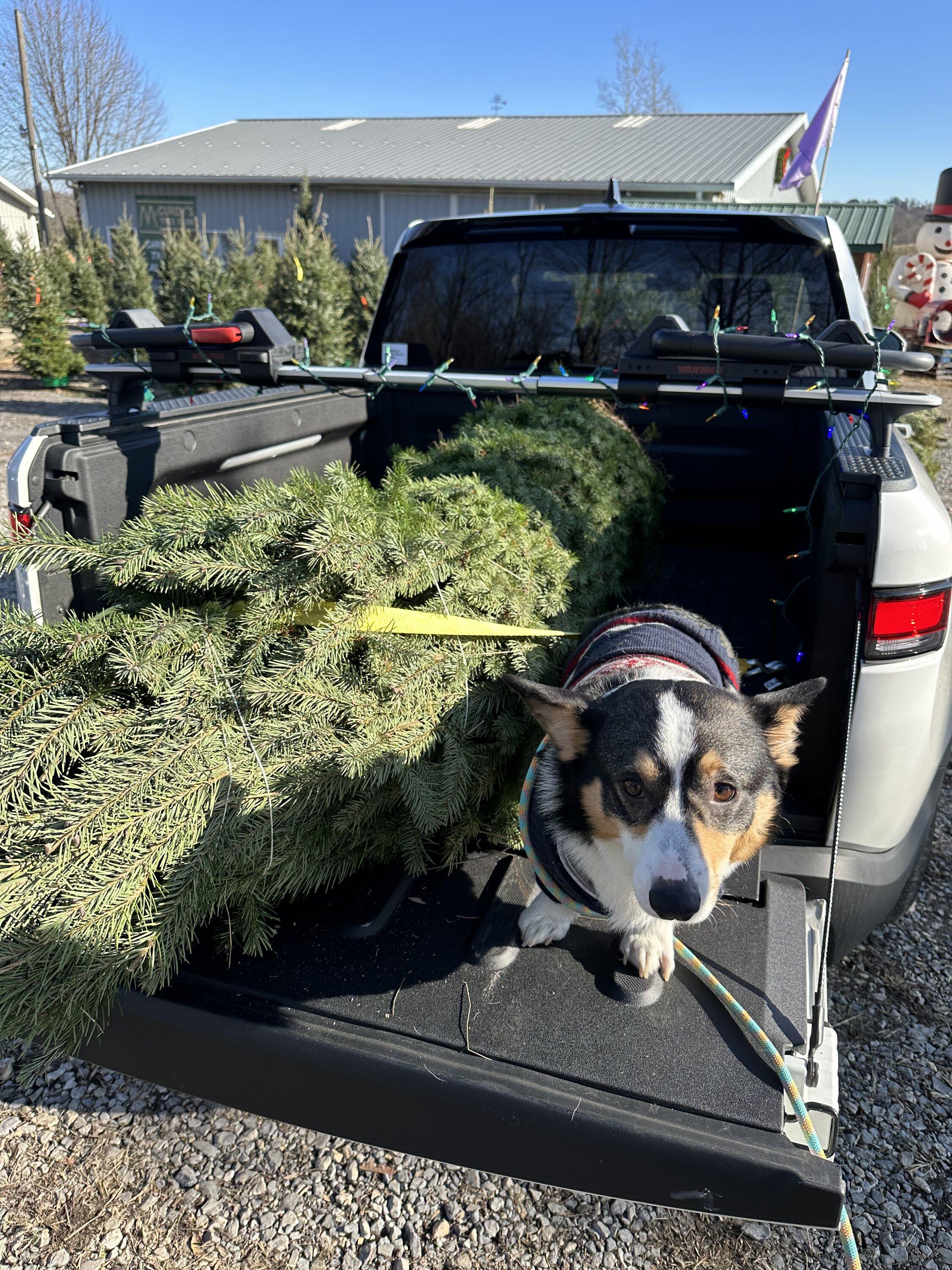 Rivian R1T R1S My R1T is ready for Christmas ? 548F27AC-EDF2-4EE5-BD5F-E7EF42E58B02