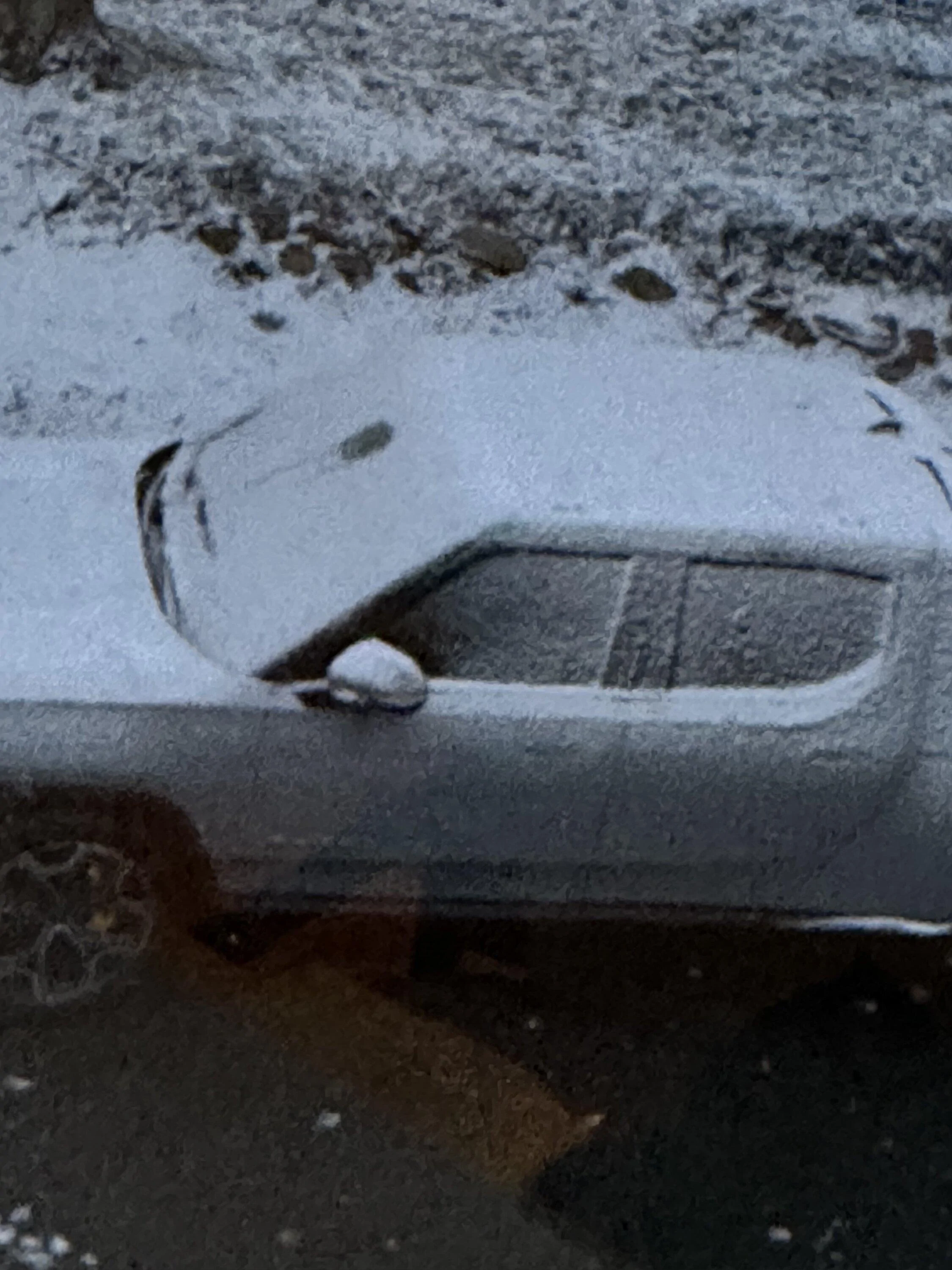 Rivian R1T R1S Camera heater always on even with gear guard off? A934A3FE-F27D-4907-95A8-70749463AB8E