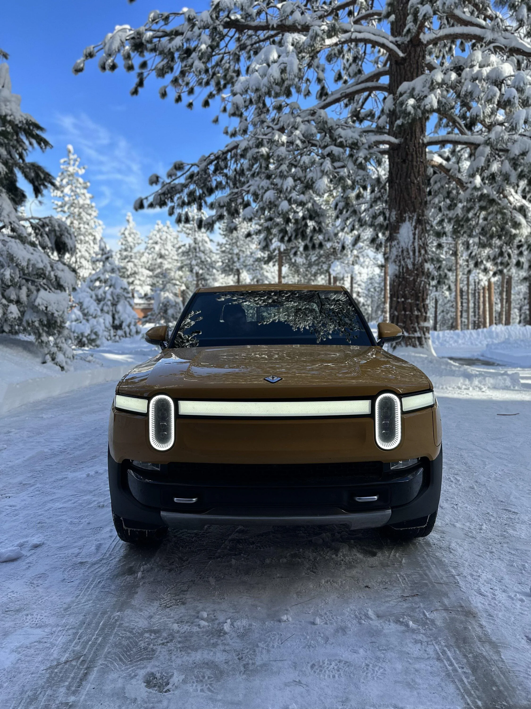 Rivian R1T R1S Frosty R1T 46DDB68E-BDEB-4F3D-B64E-67BD4235104C
