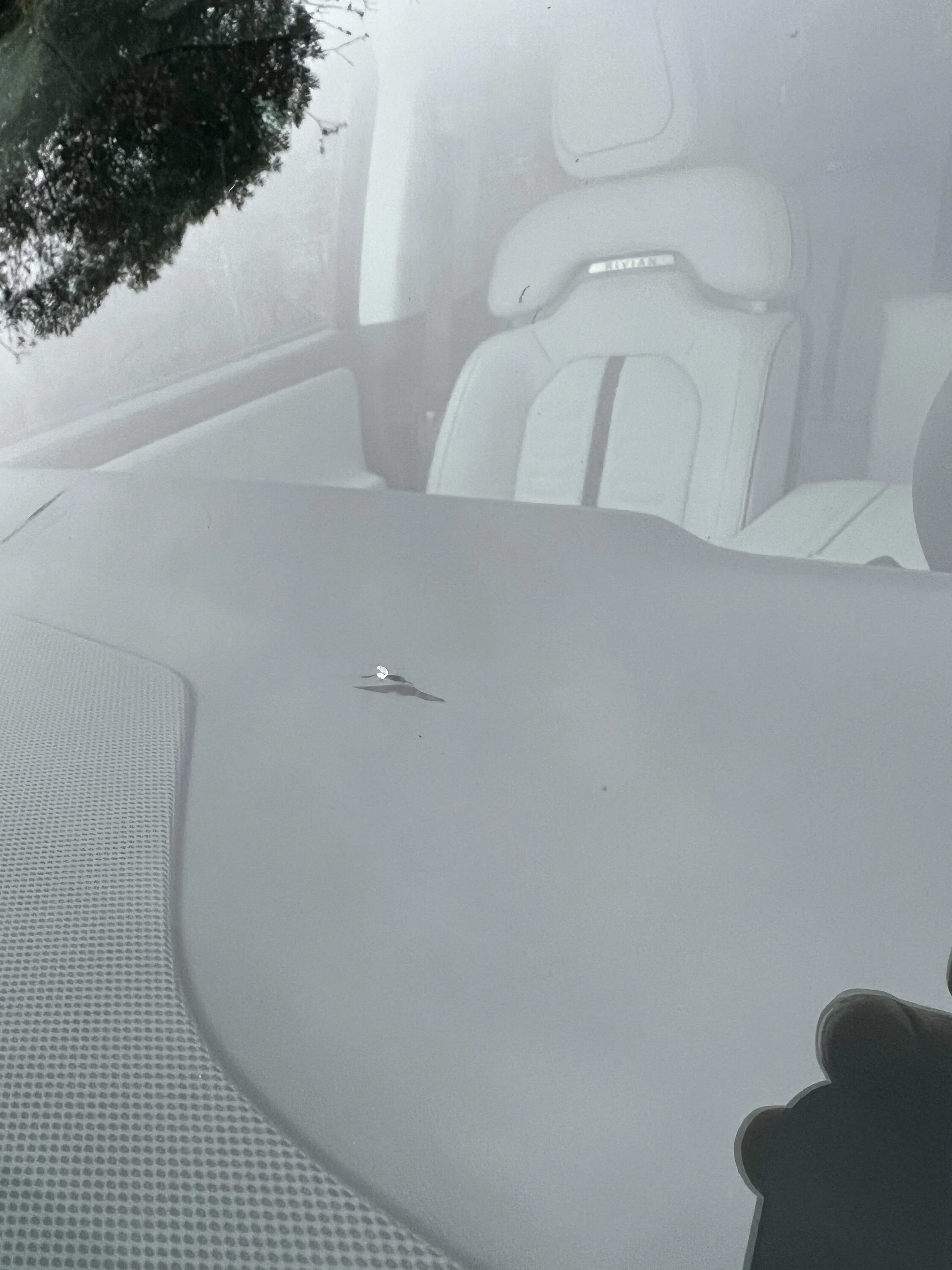 Rivian R1T R1S Glass got a chip/crack 1st 100miles 2FE7D067-1509-453A-9CB9-EEA33F72B5B9