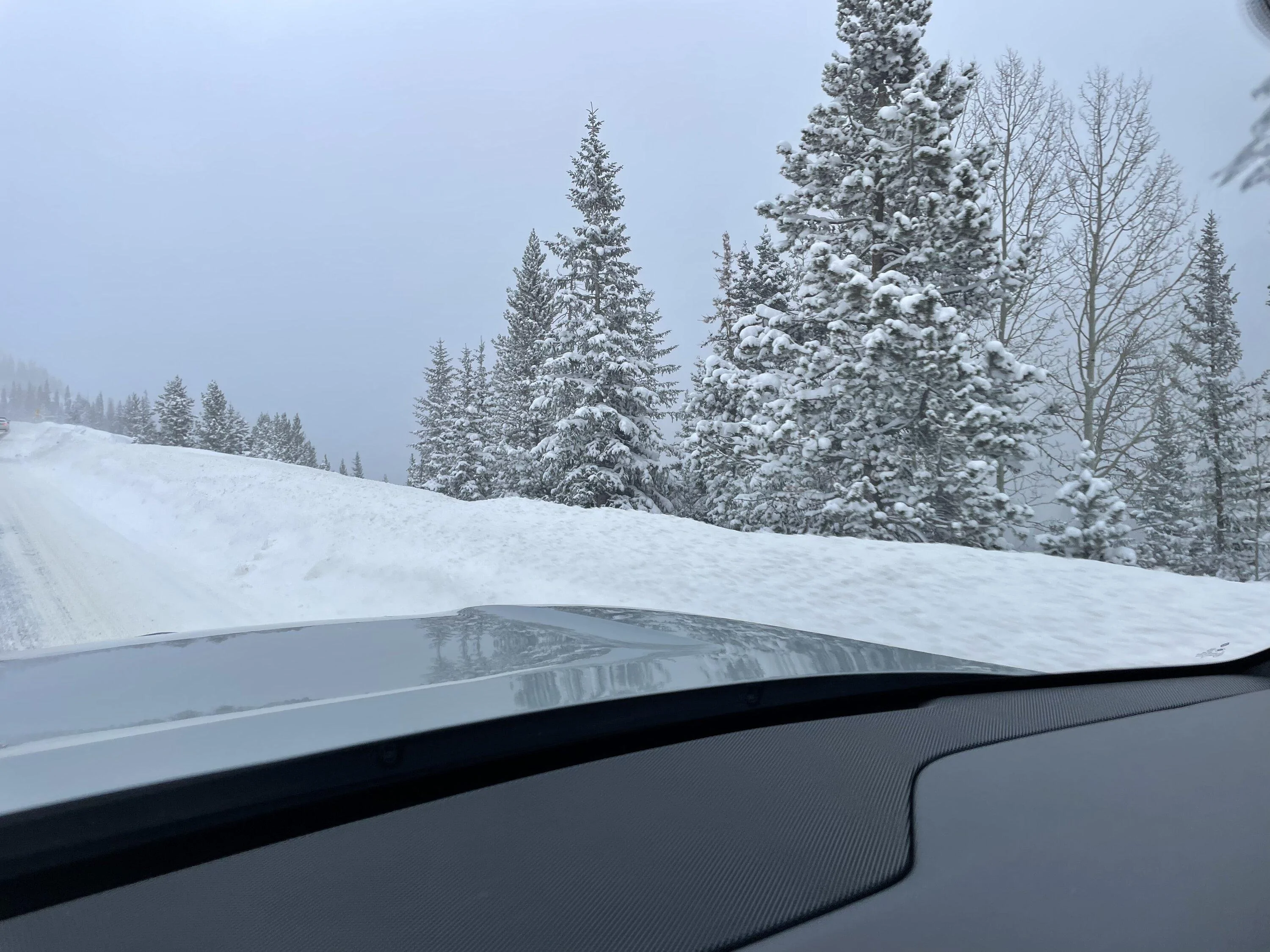Rivian R1T R1S High Alpine Run in Limestone R1T to 11,307’ With Lots of Elevation Changes 602E7082-1C77-4FAC-9632-A9440D15F4DC