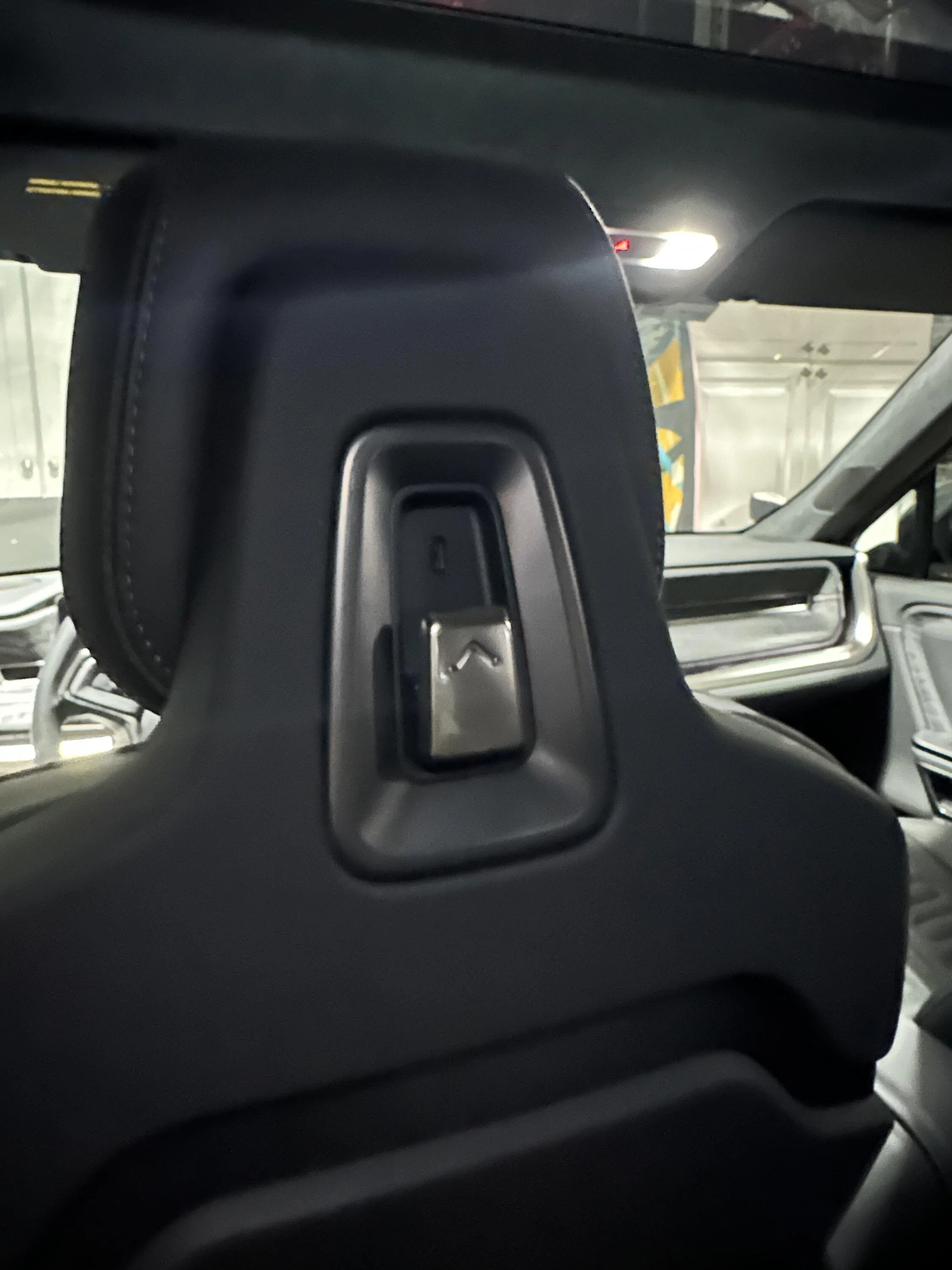 Rivian R1T R1S R1S Forest Edge delivered with wood headrest surround removed. 45862F29-3CFF-4974-9CD9-179F7AC493C5