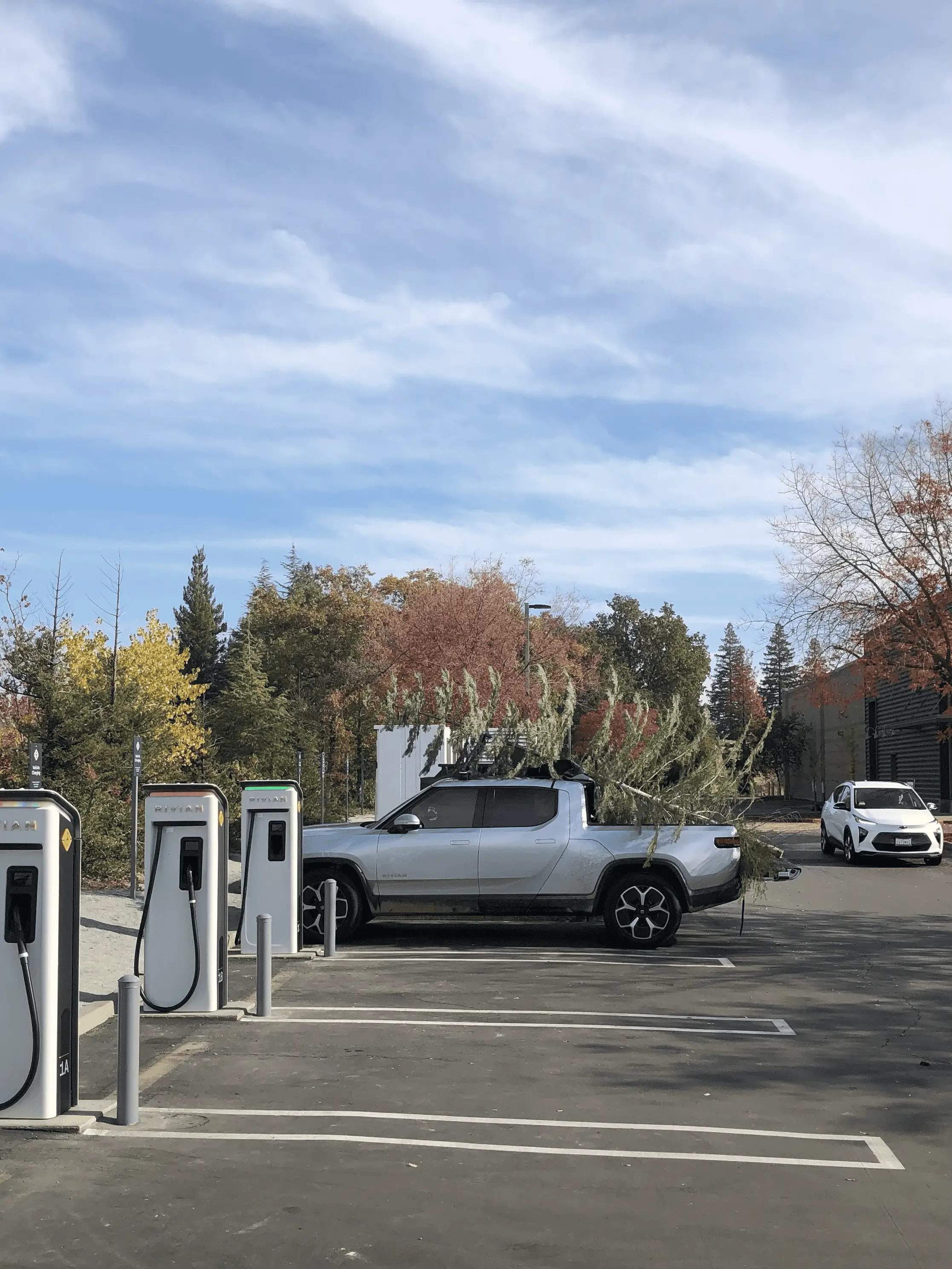 Rivian R1T R1S Christmas in Sacramento w/ 16 ft tree on R1T bed & roof tempImageTYpsM3