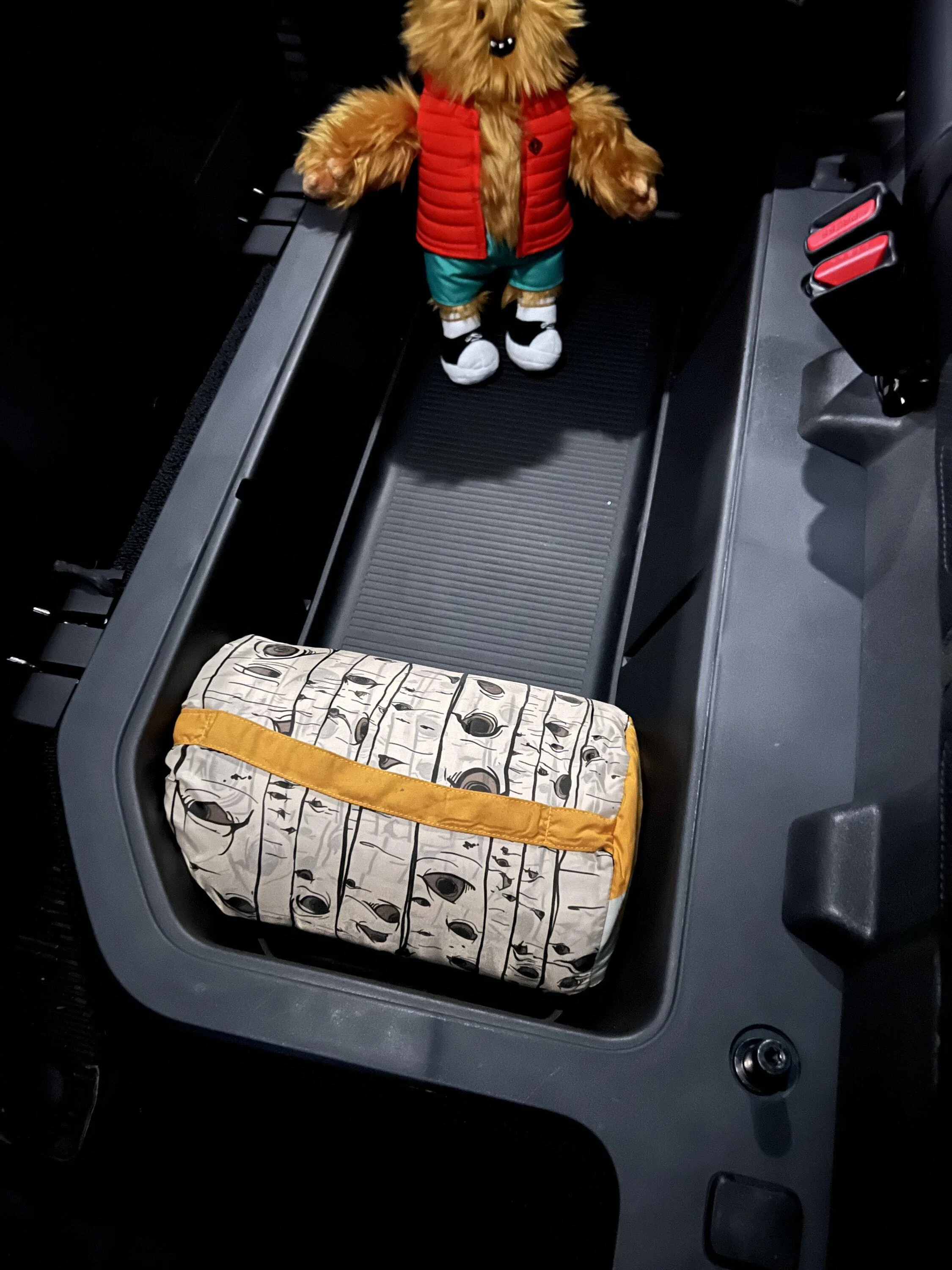 Rivian R1T R1S Share Your Favorite Accessory Find IMG_5418