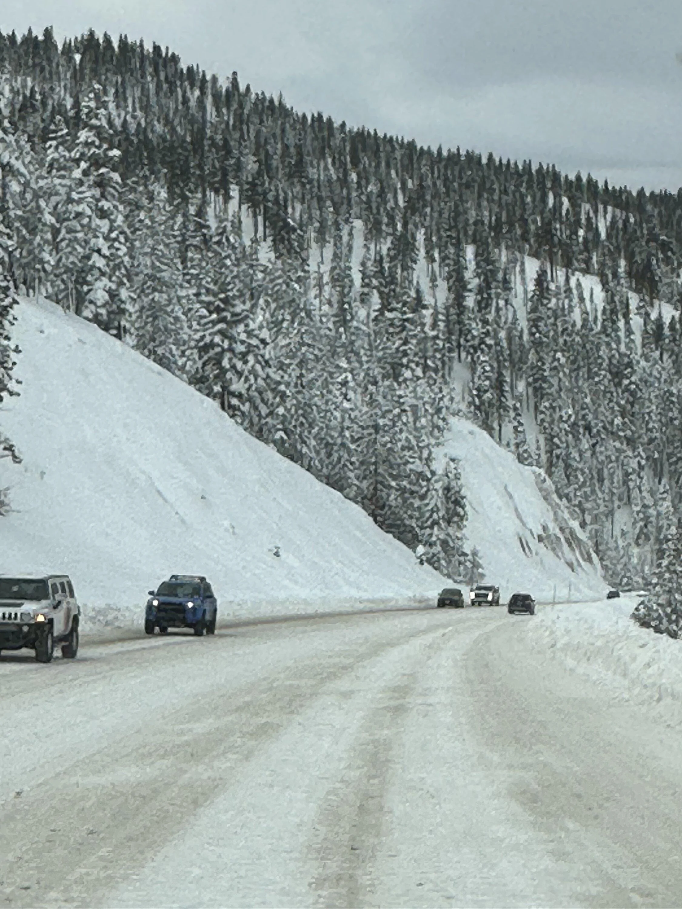 Rivian R1T R1S Road Trip Fail - Orange County, CA to Lake Tahoe F0F56328-9035-4CE6-9375-23BFC4BFA3D7