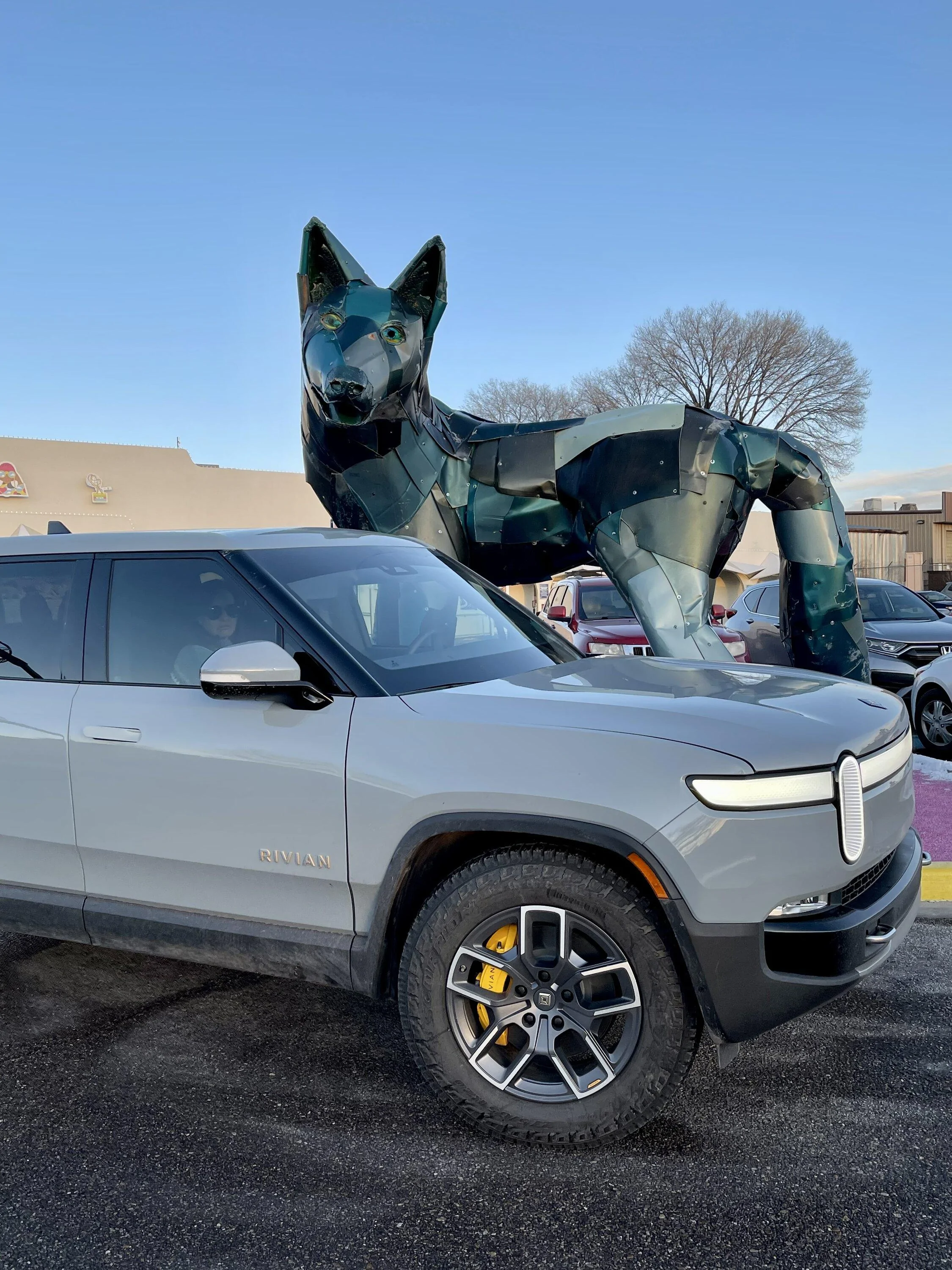 Rivian R1T R1S Help me decide: full body stealth wrap? F2B80835-977B-4569-AB8A-633D74B6E60A