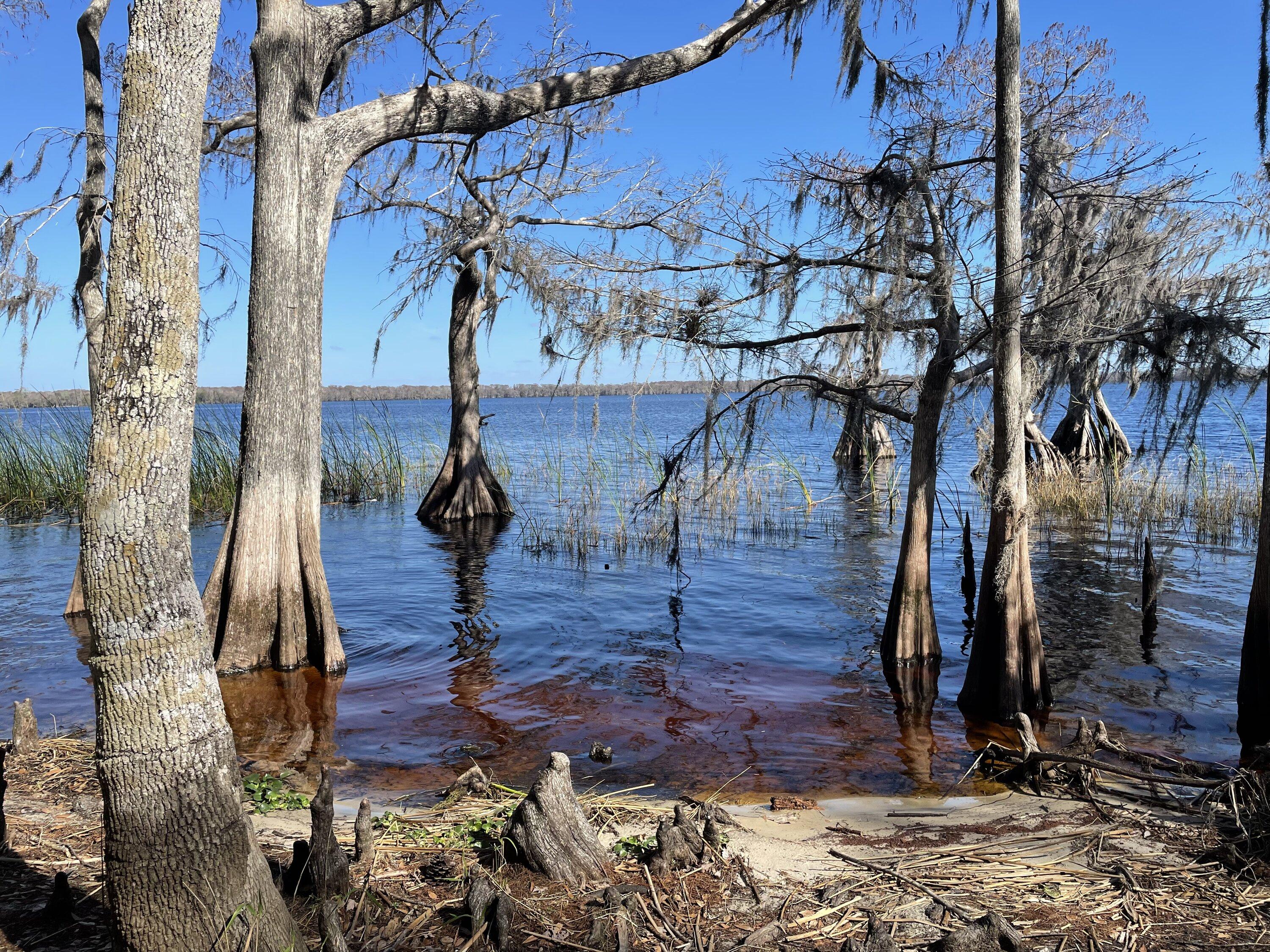 Rivian R1T R1S Found a Rivian Waypoint Charger at Disney Wilderness Preserve in central FL FC4C012E-D0A8-41C1-A8C5-1B7F5AB91F64