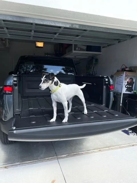 Rivian R1T R1S My (non-hammock) dog back seat plan Rivian