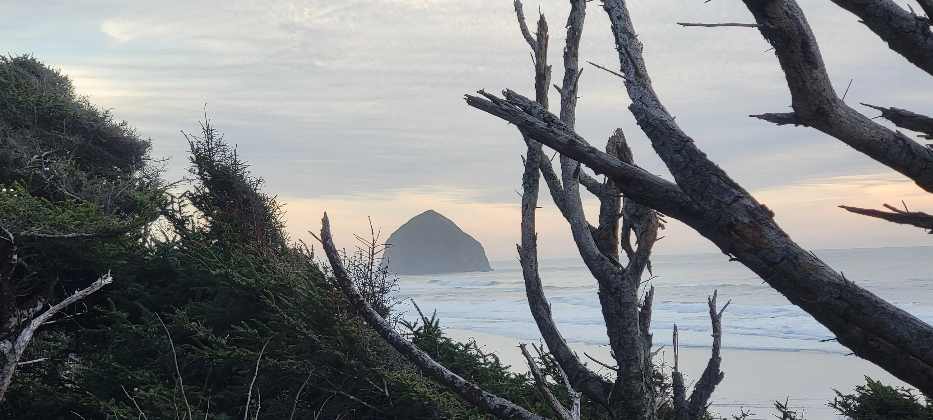 Rivian R1T R1S SuperBowl alternative...  Three Capes Scenic Route in the R1T 20230212_171251