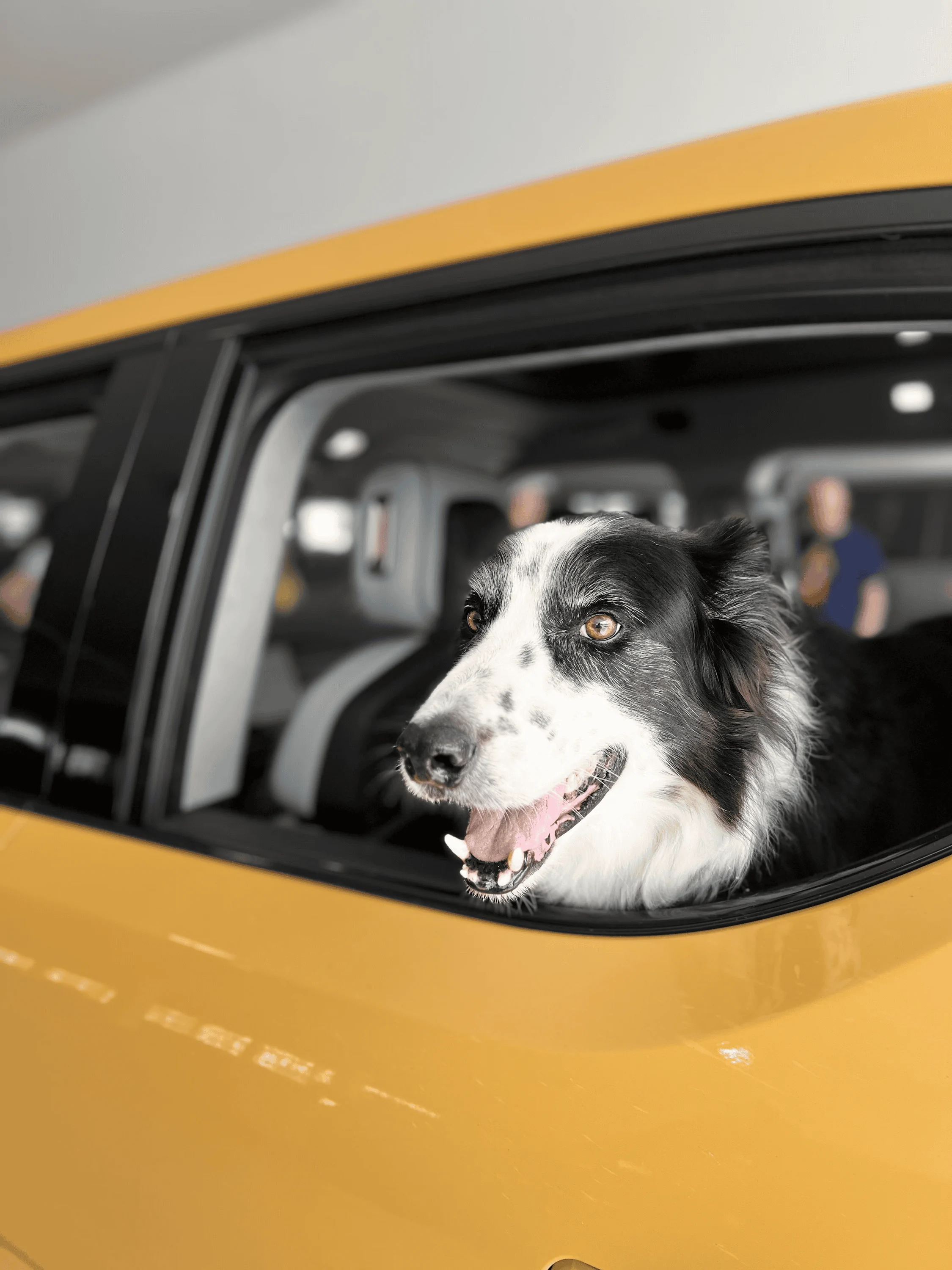 Rivian R1T R1S First Florida Meet-up of 2023 - February 11th 11-2 at Boxi Park in Orlando, FL 1676861423642